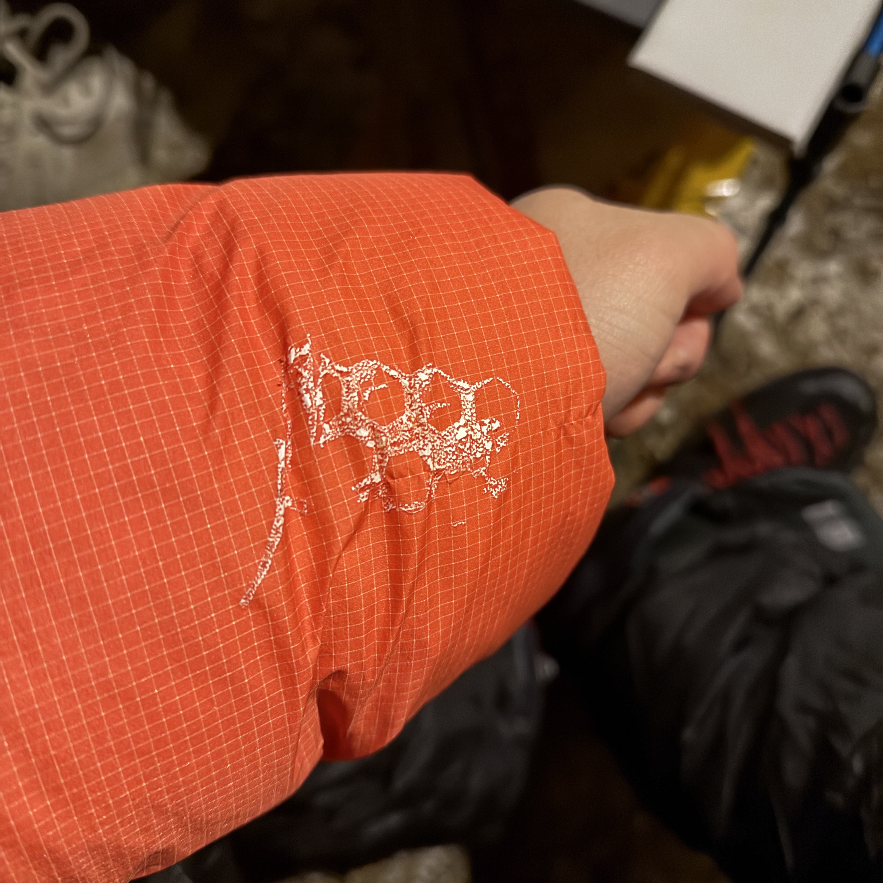 Arc'teryx Alpha Parka Dynasty 착용 스타일