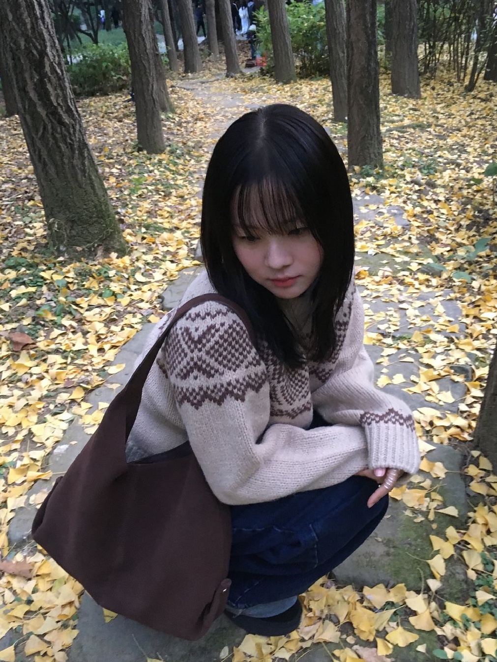 Siyazu SIKN2103 Loose Fit Alpaca Nordic Sweater Brown 착용 스타일 - 1