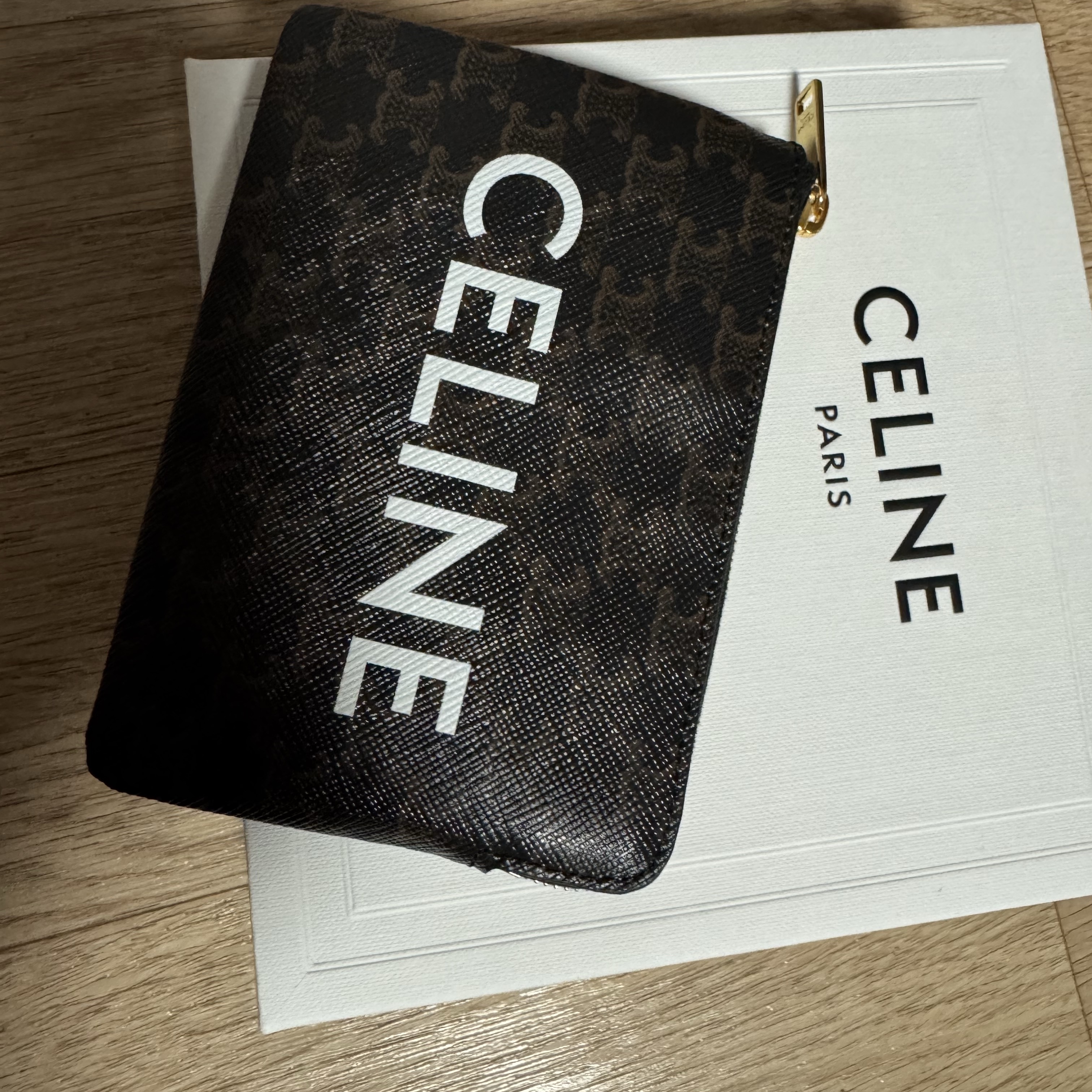 Celine Coin & Card Pouch in Triomphe Canvas Black 착용 스타일