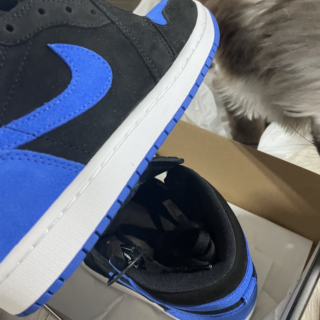Jordan 1 Retro High OG Royal Reimagined 착용 스타일 - 2
