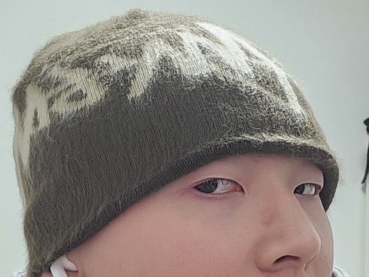 Stussy Brushed Out Stock Skullcap Beanie Brown 착용 스타일