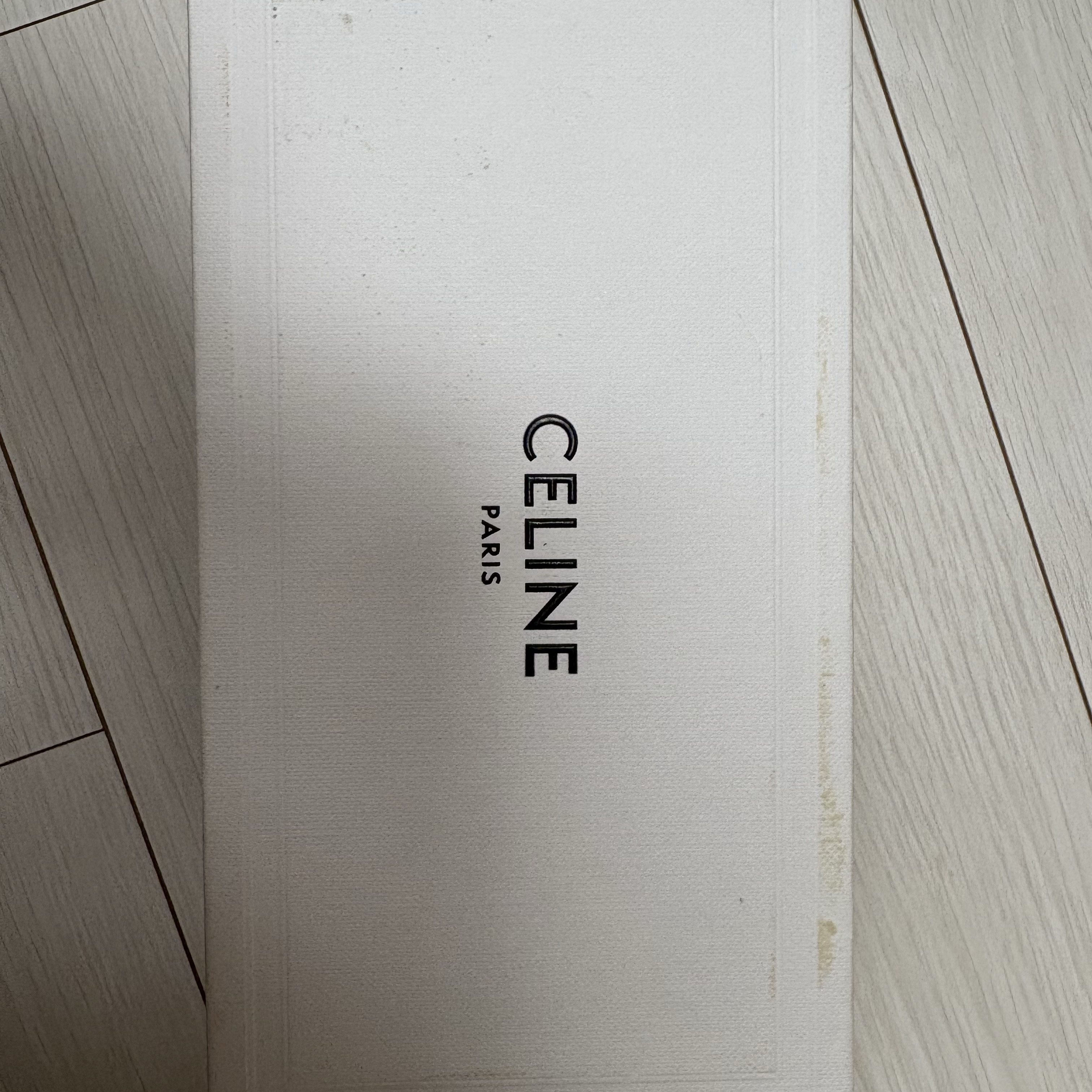 (W) Celine Triomphe 01 Sunglasses in Acetate Black 착용 스타일 - 1