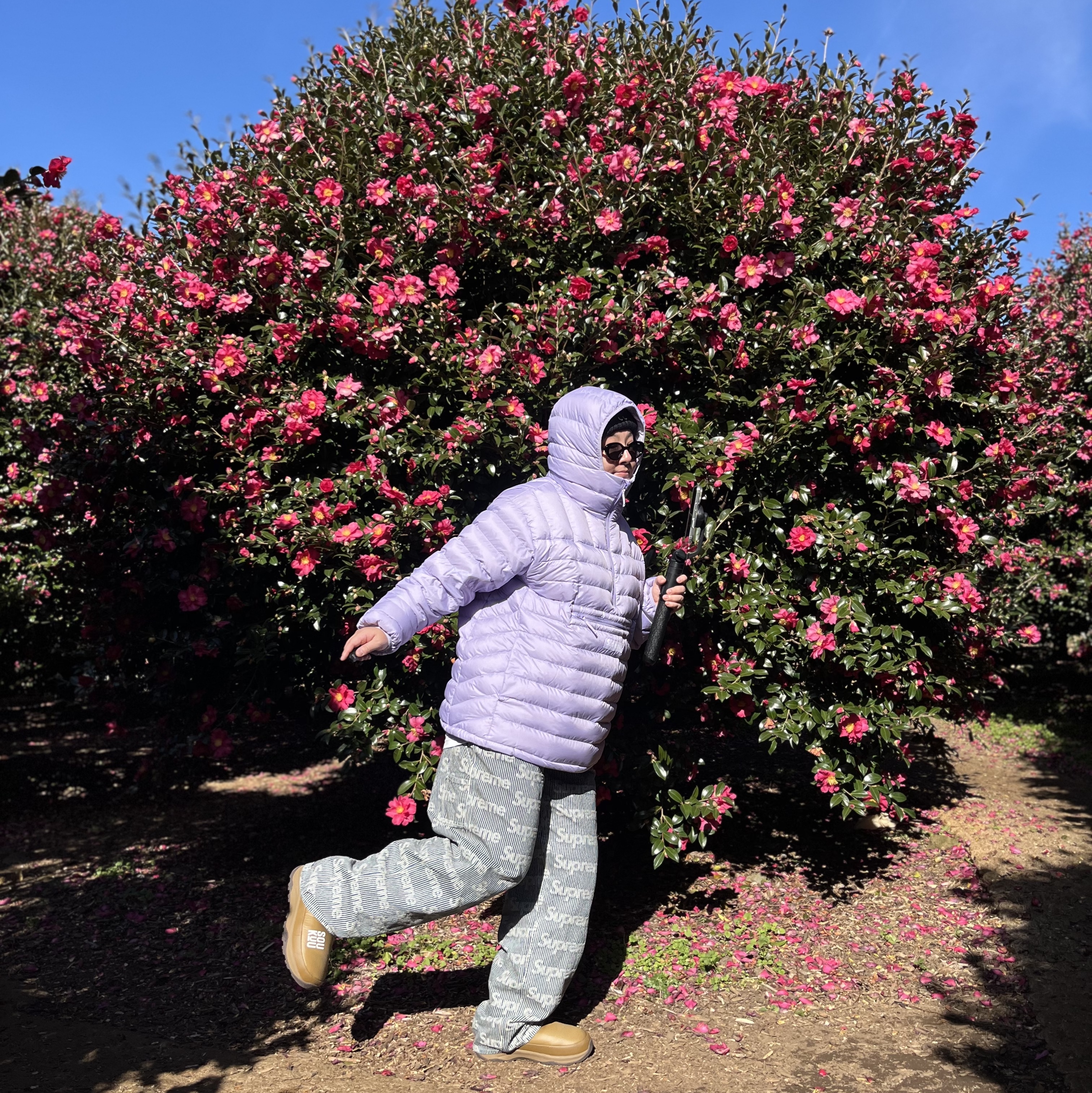Supreme Micro Down Half Zip Hooded Pullover Lilac - 24FW, Supreme Denim Painter Pants Stripe - 24SS 착용 스타일