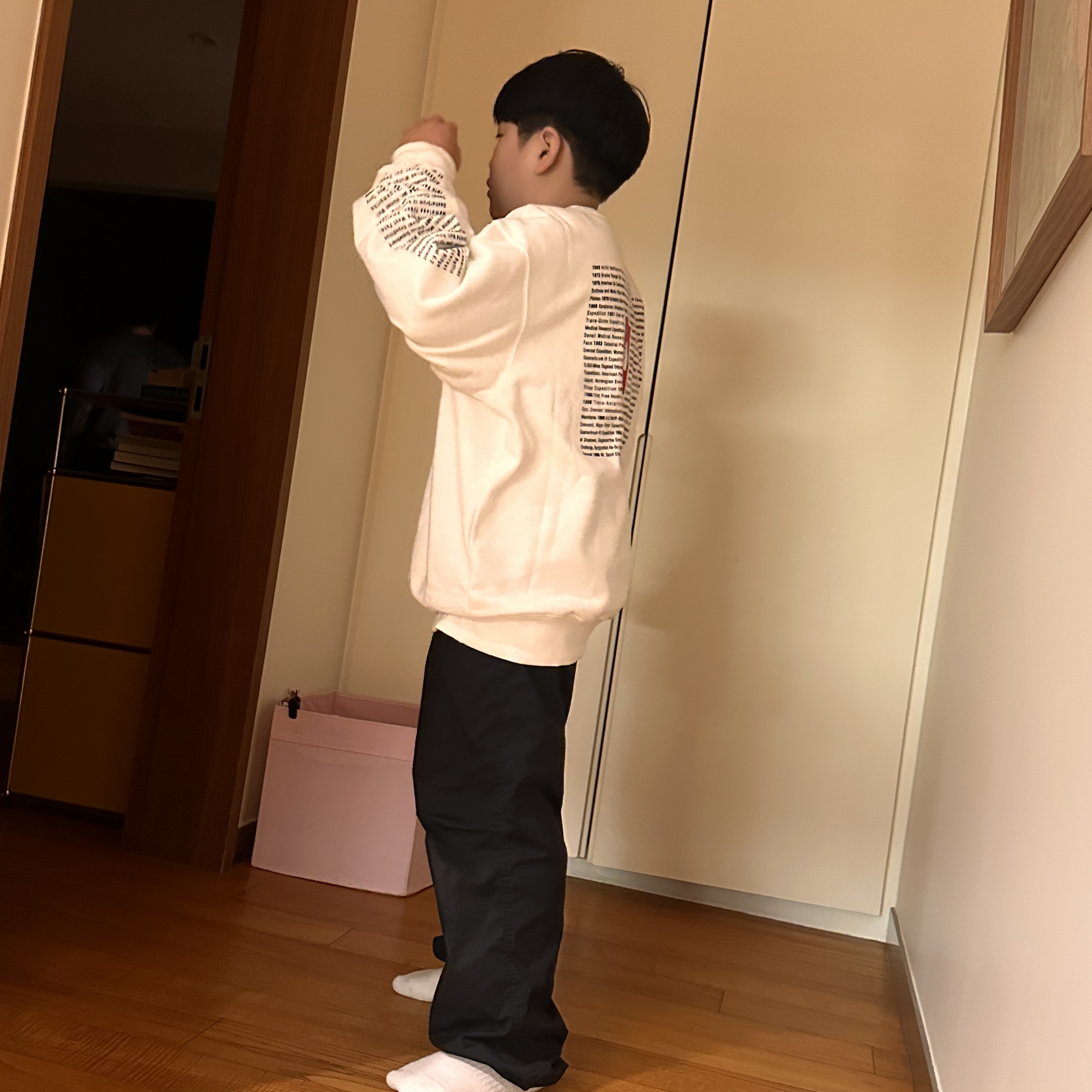 Supreme x The North Face Crewneck White - 24SS 착용 스타일 - 1