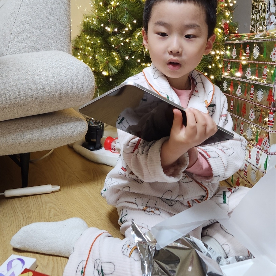 Apple Pencil Pro (Korean Ver.), Apple iPad Pro 5th Gen 11-inch Wifi 256GB Standard Glass Silver (Korean Ver.) 착용 스타일