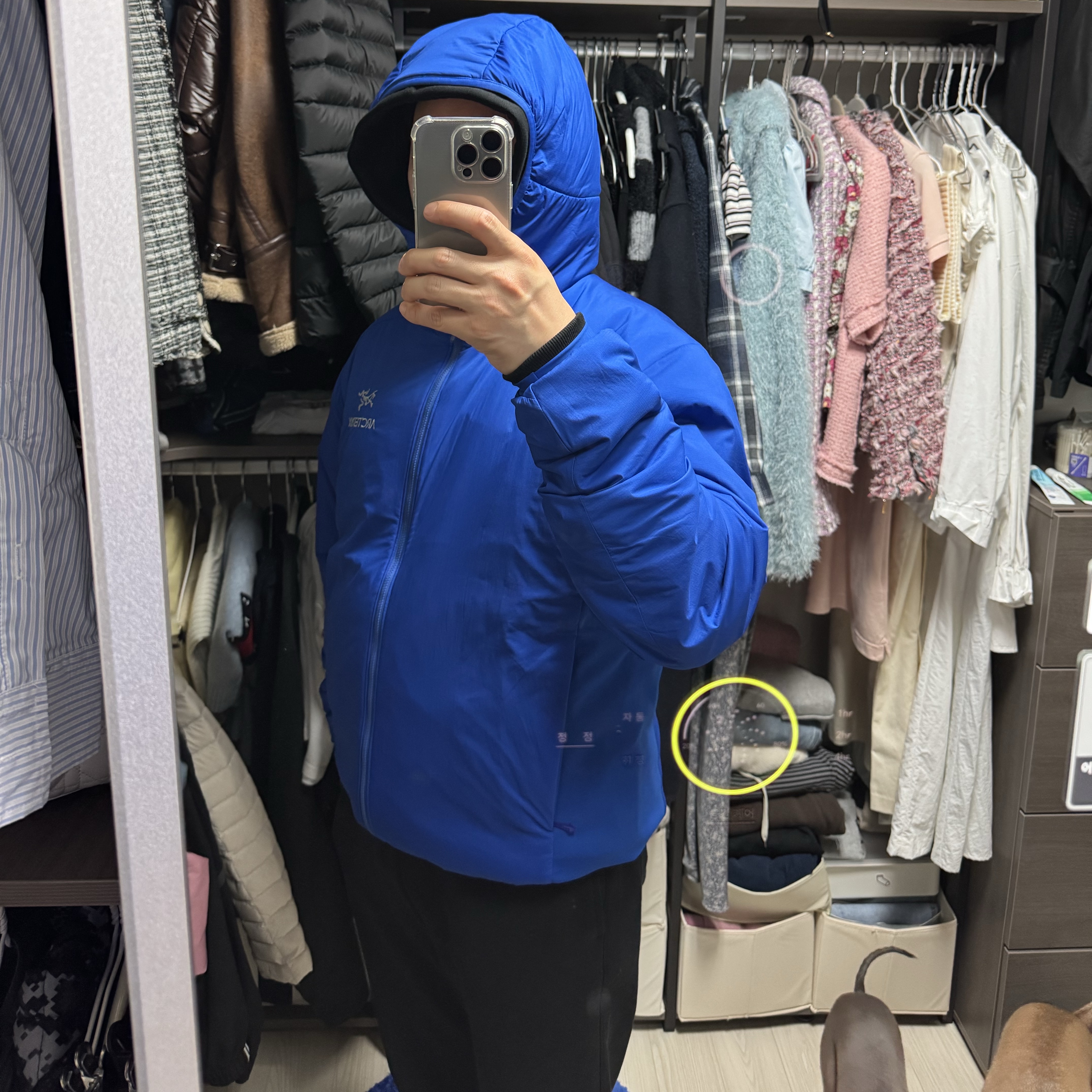 Arc'teryx Atom Hoody Vitality, Arc'teryx Atom Hoody Black 착용 스타일 - 2
