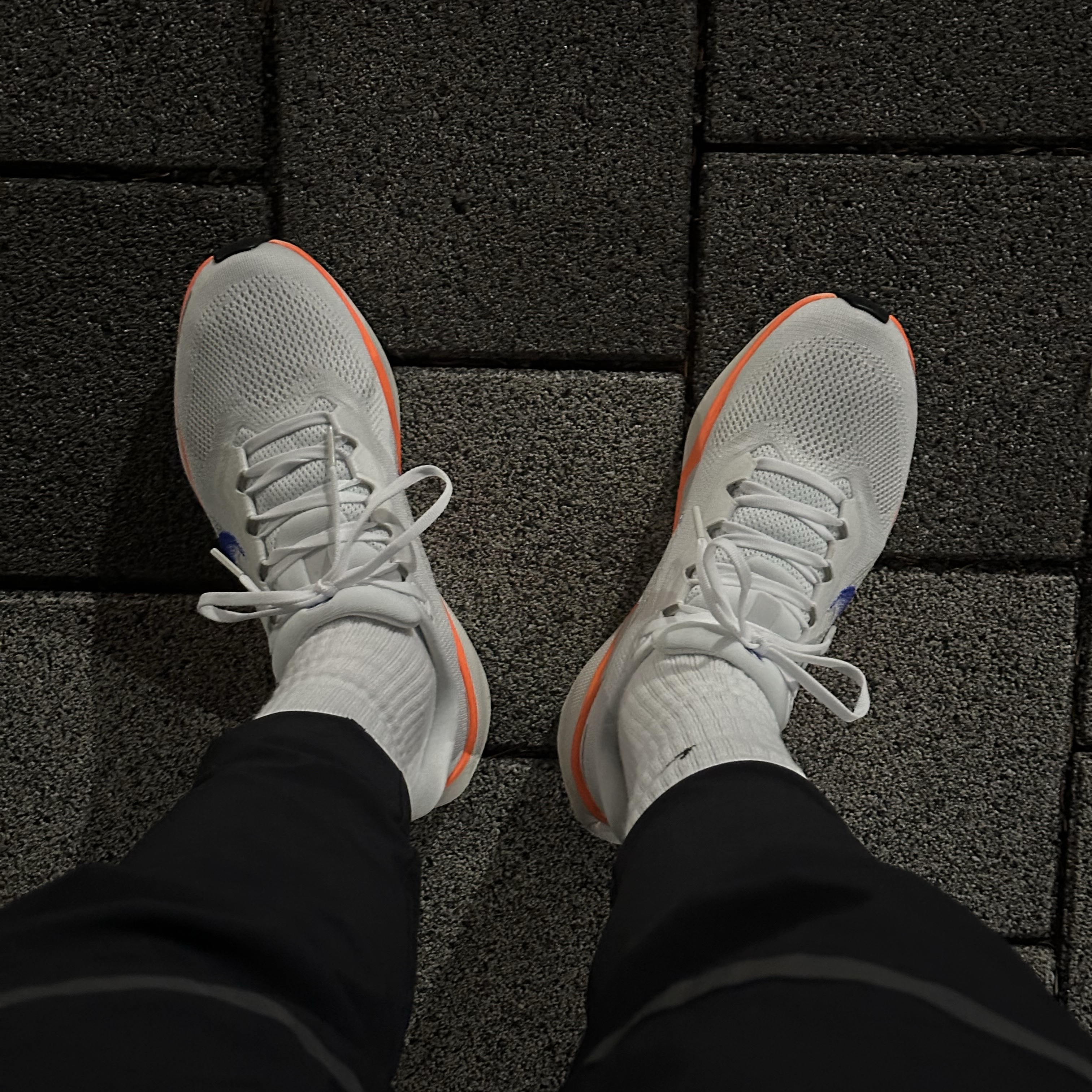 Nike Air Zoom Pegasus 41 Blueprint 착용 스타일