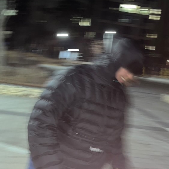 Supreme Micro Down Half Zip Hooded Pullover Black - 24FW, Supreme Grinch Box Logo New Era Black - 24FW 착용 스타일 - 3