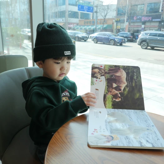 스타일 카드