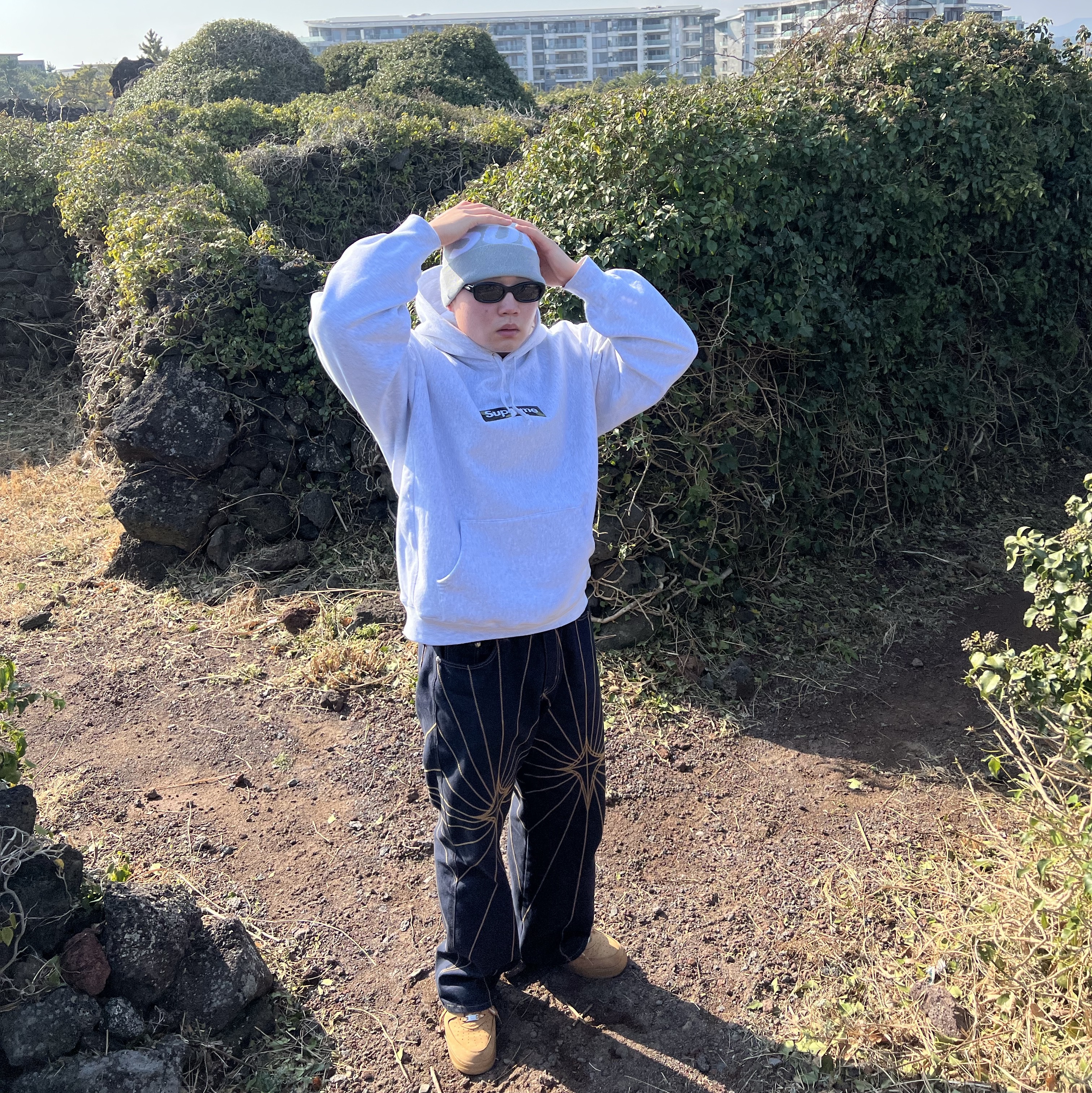 Supreme Box Logo Hooded Sweatshirt Ash Grey - 23FW, Nike x Supreme Air Force 1 Low Flax 착용 스타일