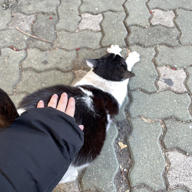 누가뜨님의 스타일