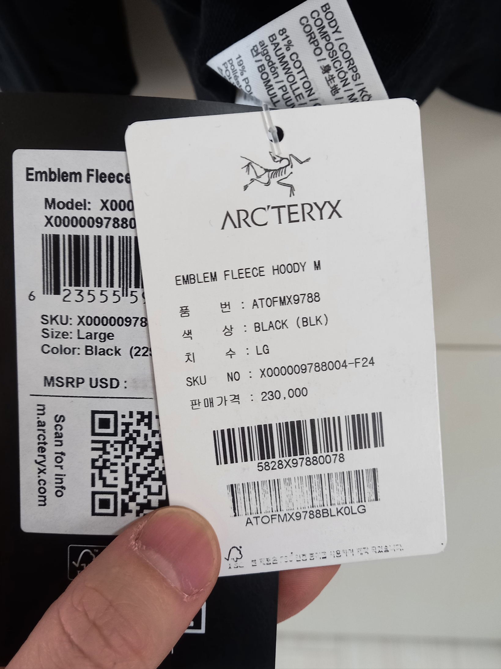 Arc'teryx Emblem Fleece Hoody Black 착용 스타일 - 5