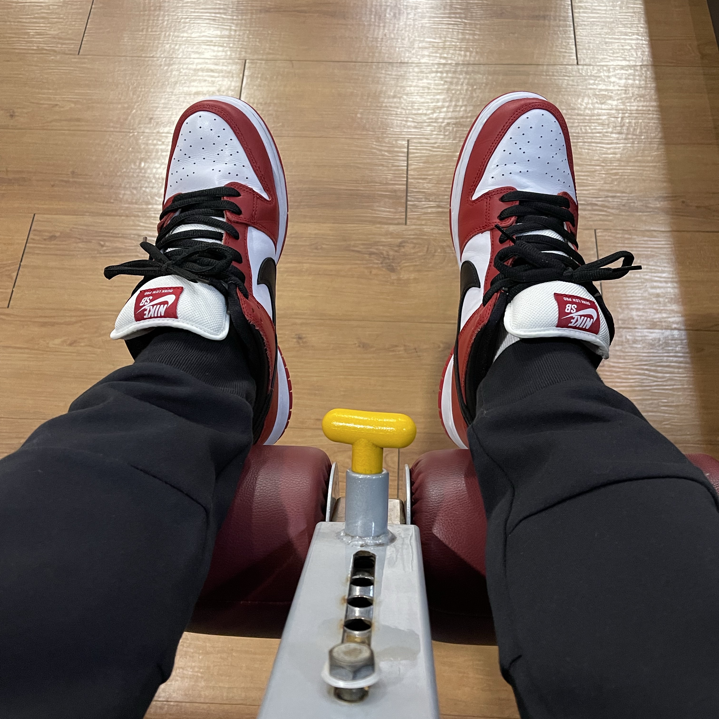 Nike SB Dunk Low Pro Chicago 착용 스타일