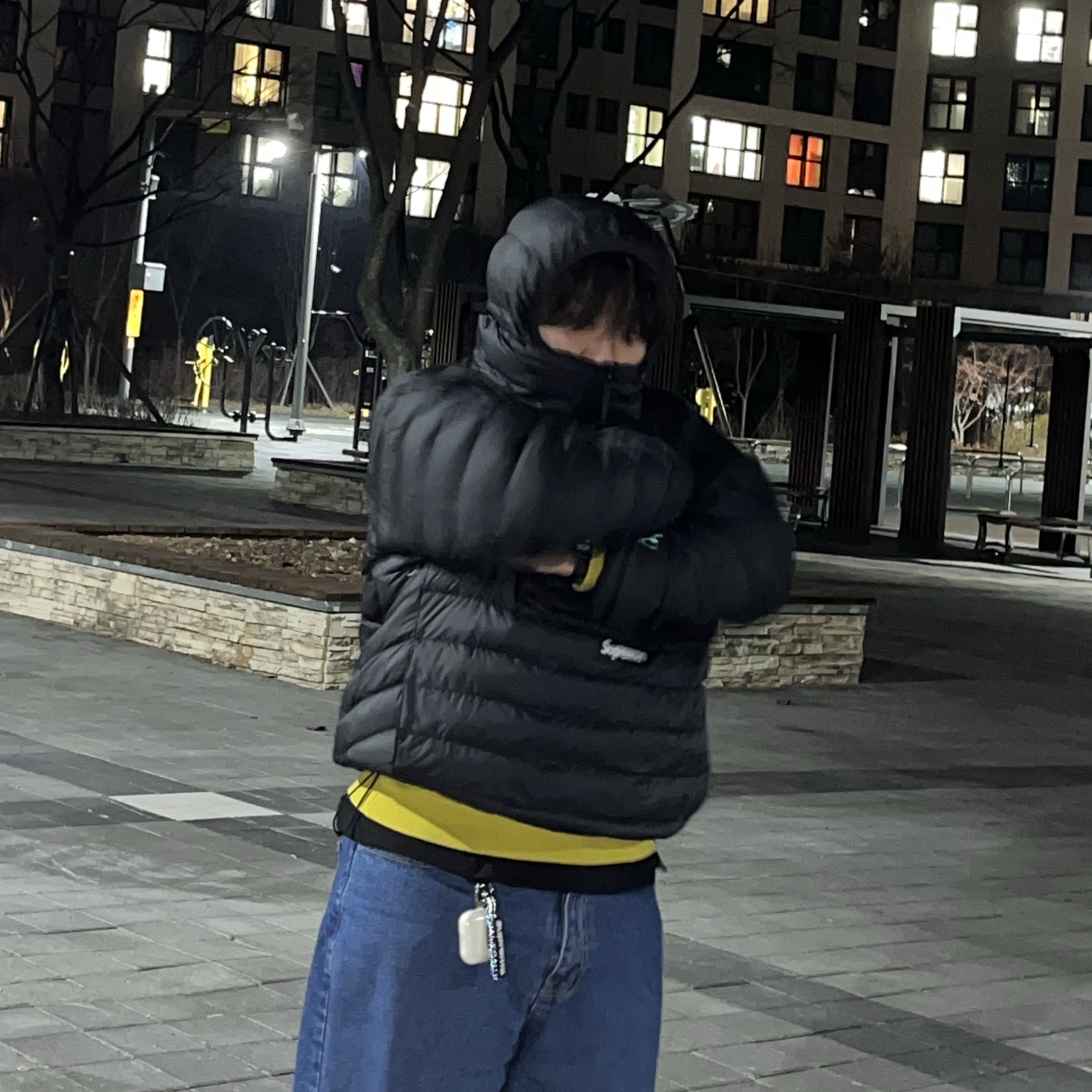 Supreme Micro Down Half Zip Hooded Pullover Black - 24FW, Supreme Grinch Box Logo New Era Black - 24FW 착용 스타일 - 2