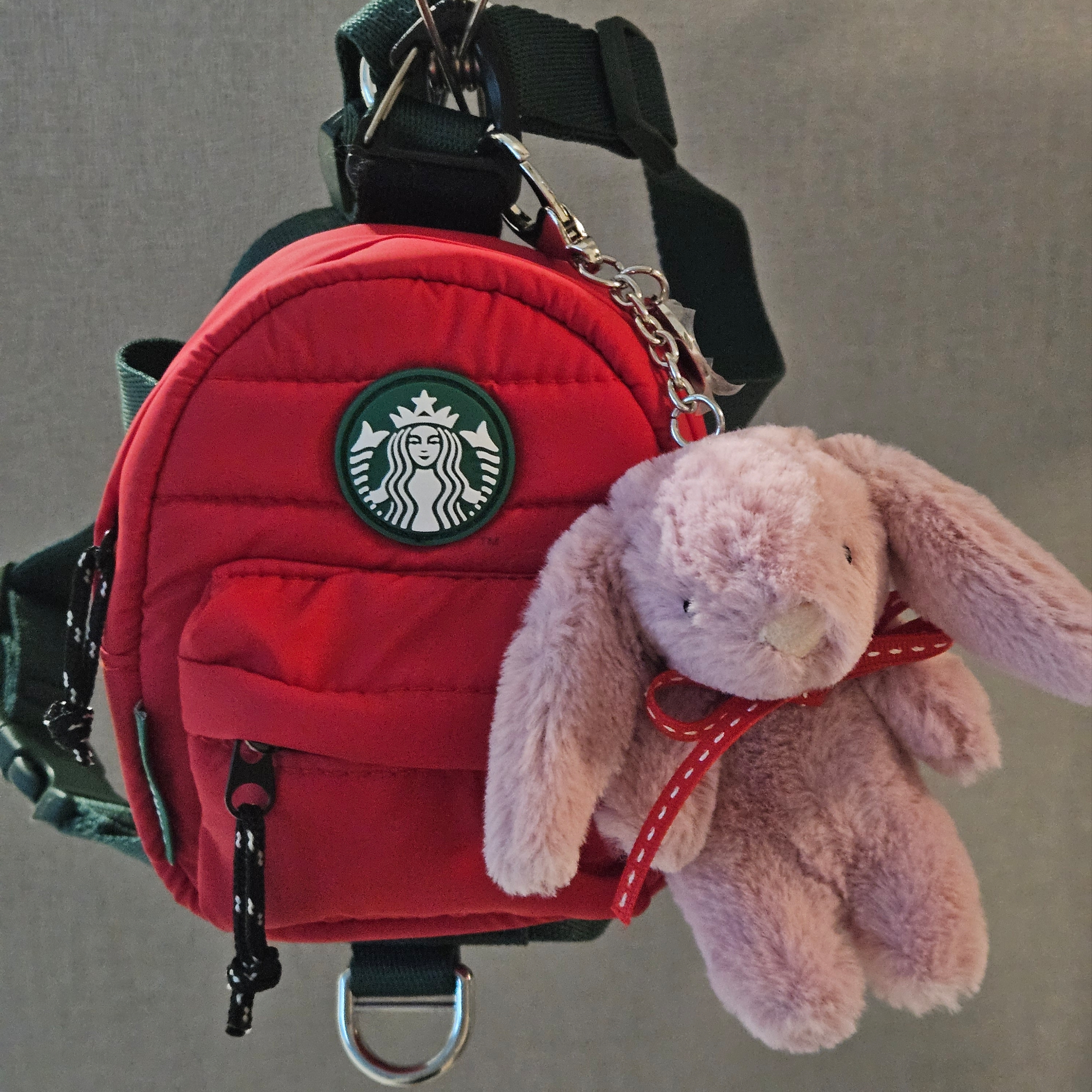 Starbucks Holiday Friends Mini Bag, Jellycat Bashful Bunny Bag Charm Tulip 착용 스타일