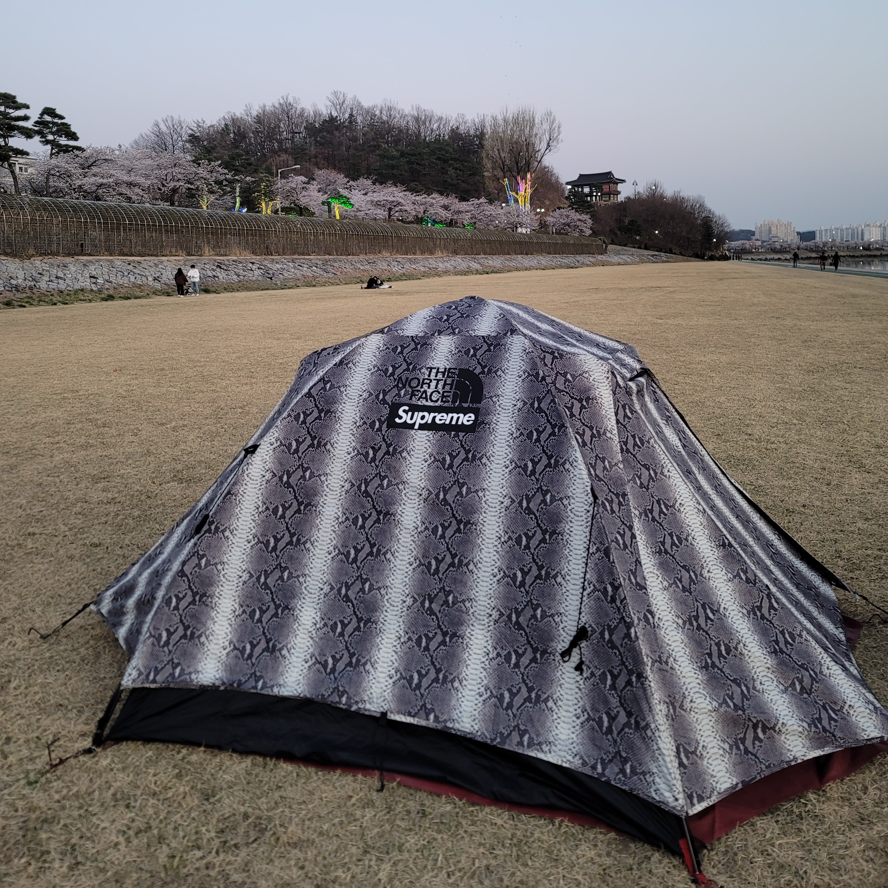 Supreme x The North Face Snakeskin Taped Seam Stormbreak 3 Tent Black - 18SS 착용 스타일