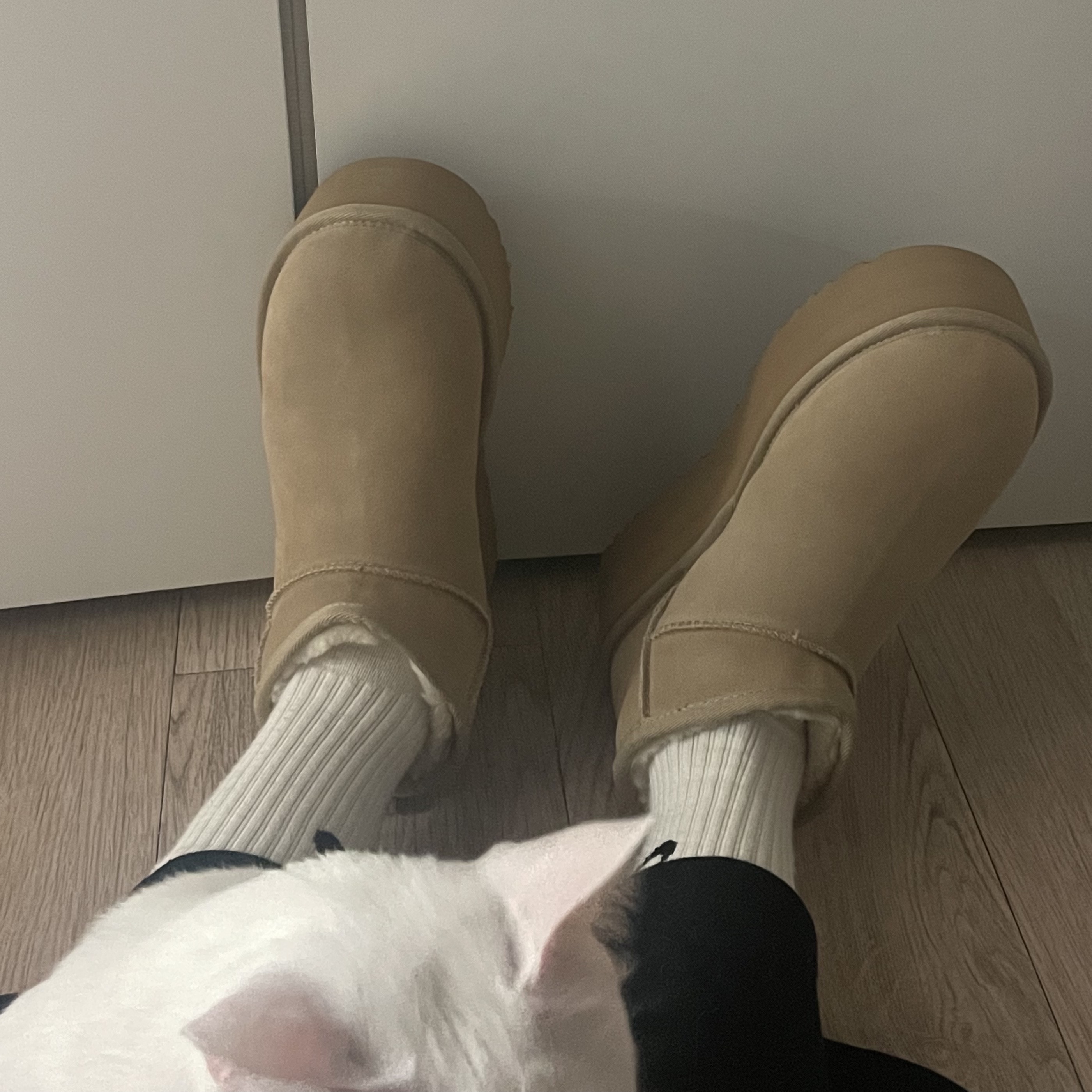 (W) UGG Classic Ultra Mini Platform Sand 착용 스타일