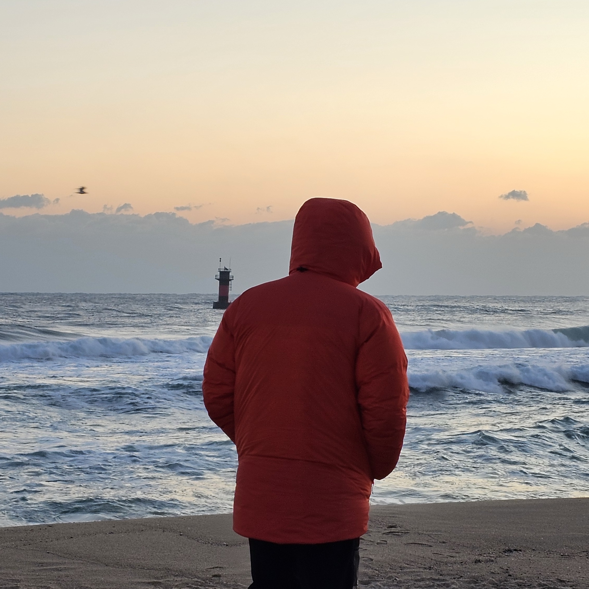 Arc'teryx Alpha Parka Dynasty 착용 스타일