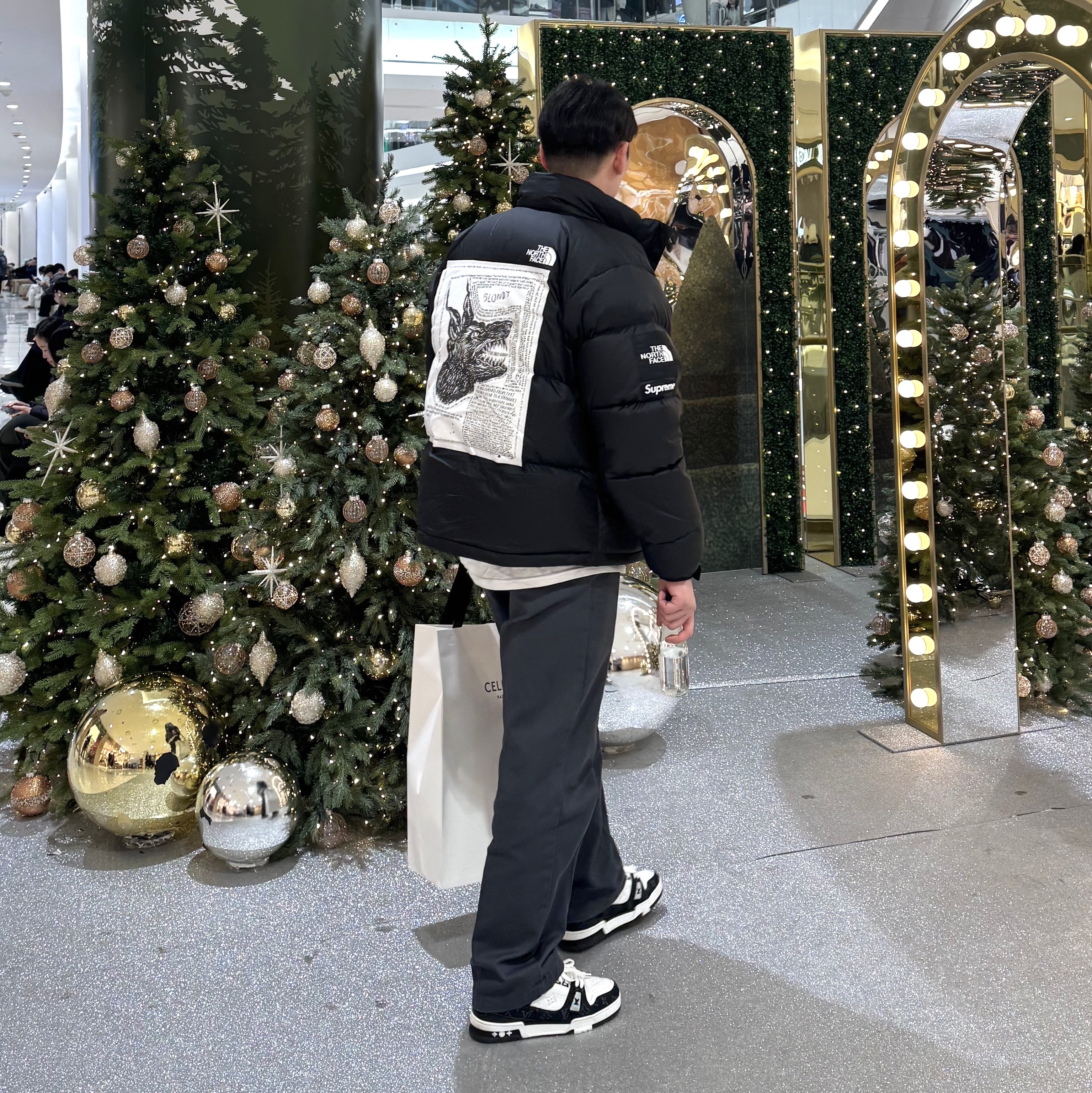 Supreme x The North Face Nuptse Jacket Black - 24FW, Louis Vuitton LV Trainer Sneakers Monogram Denim Black 착용 스타일
