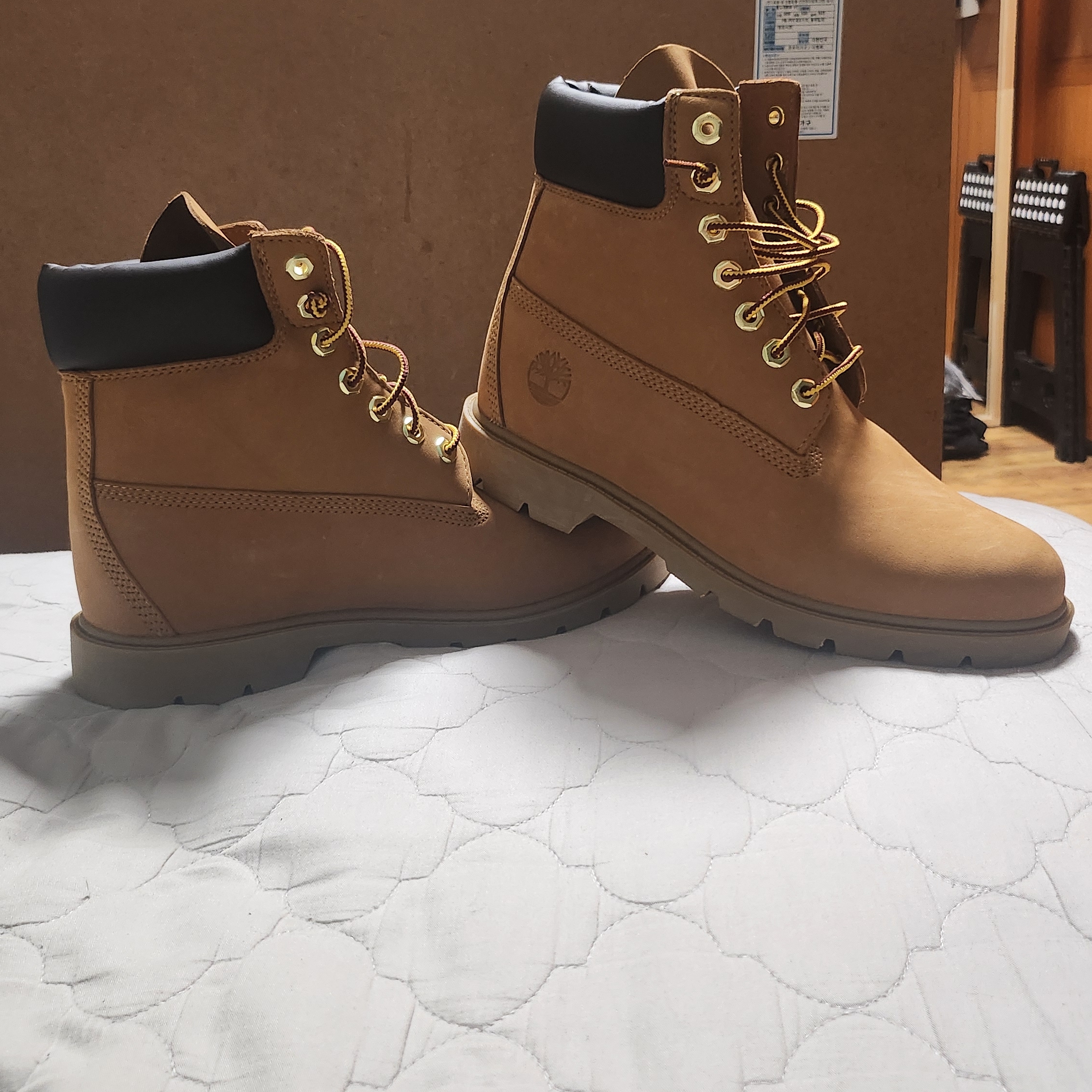 Timberland Premium 6 inch Waterproof Boot Wheat Nubuck - Medium 착용 스타일