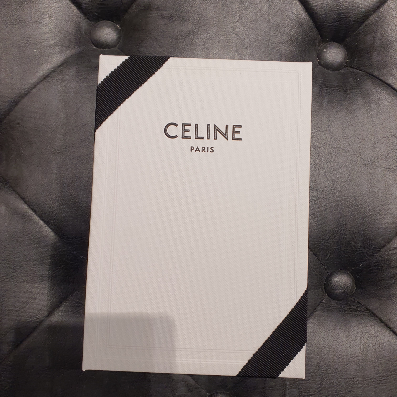 Celine Large Card Holder in Triomphe Canvas Clafskin Black 착용 스타일 - 2