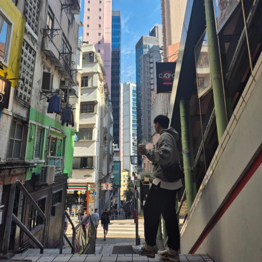 스타일 카드