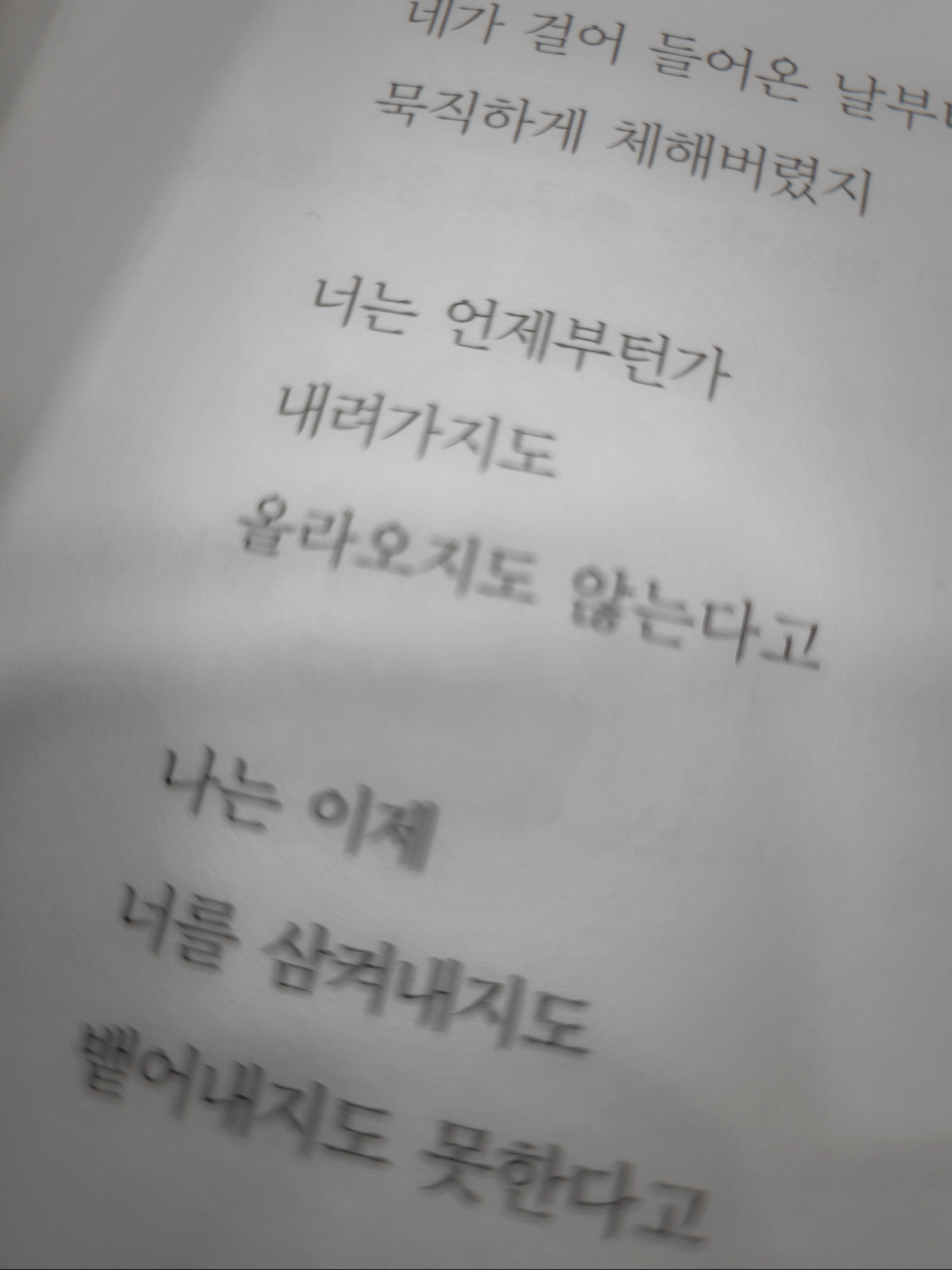 보통의 별일 없는,    지루한 행복.님의 스타일