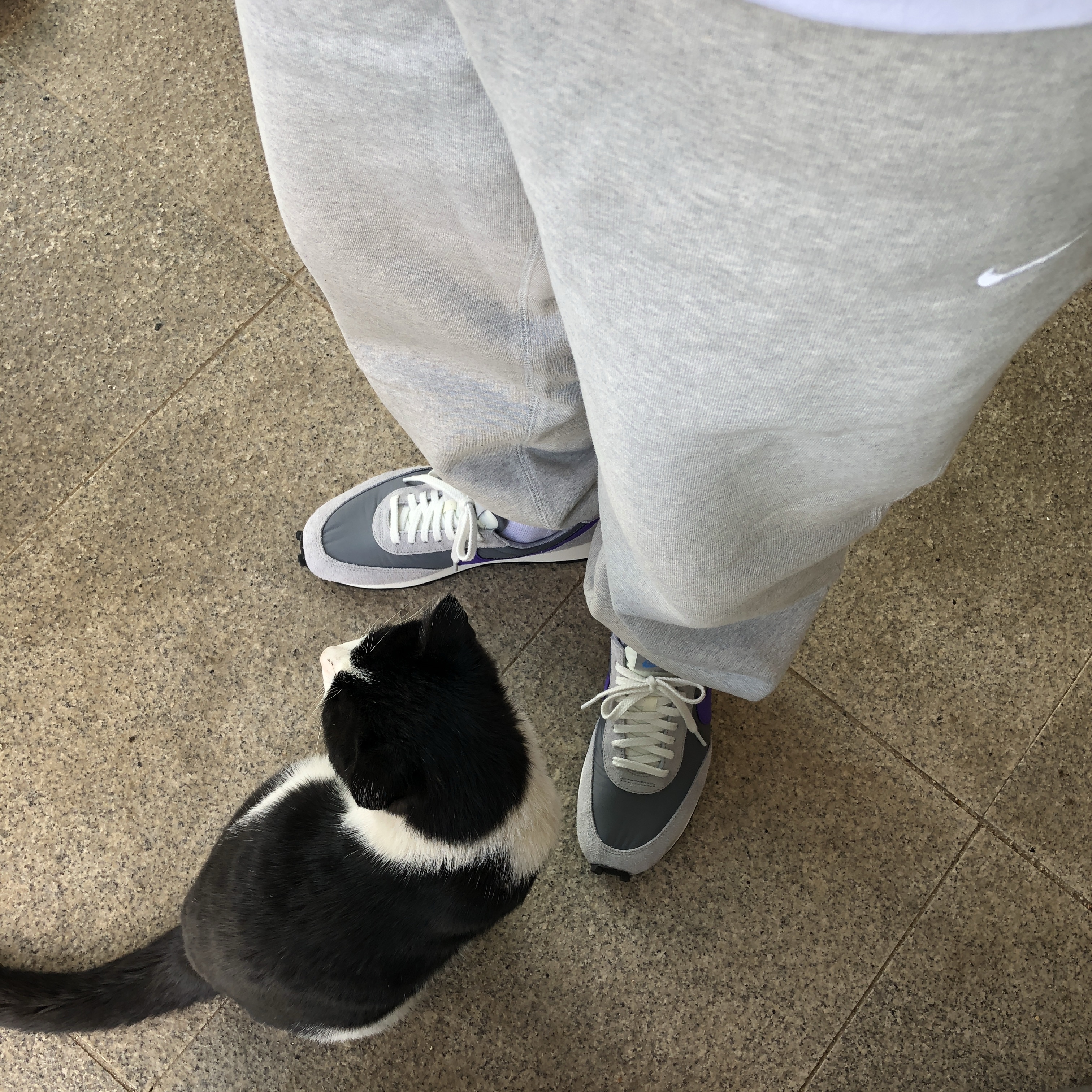 Nike Daybreak SP Cool Grey Hyper Grape, Nike NRG Solo Swoosh Fleece Pants Dark Grey Heather - Asia 착용 스타일