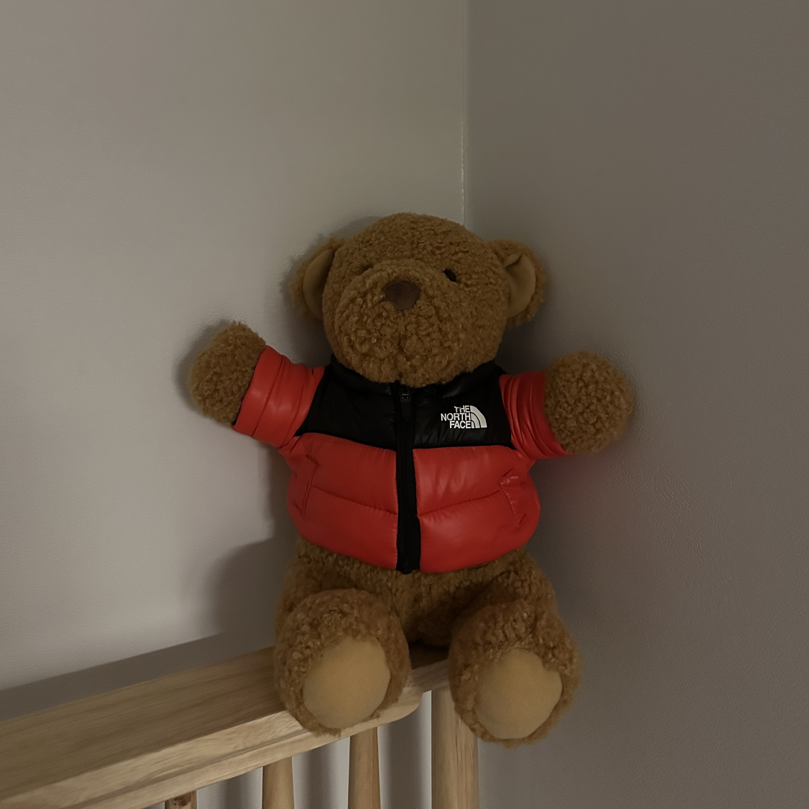 The North Face Nuptse Bear Red 착용 스타일
