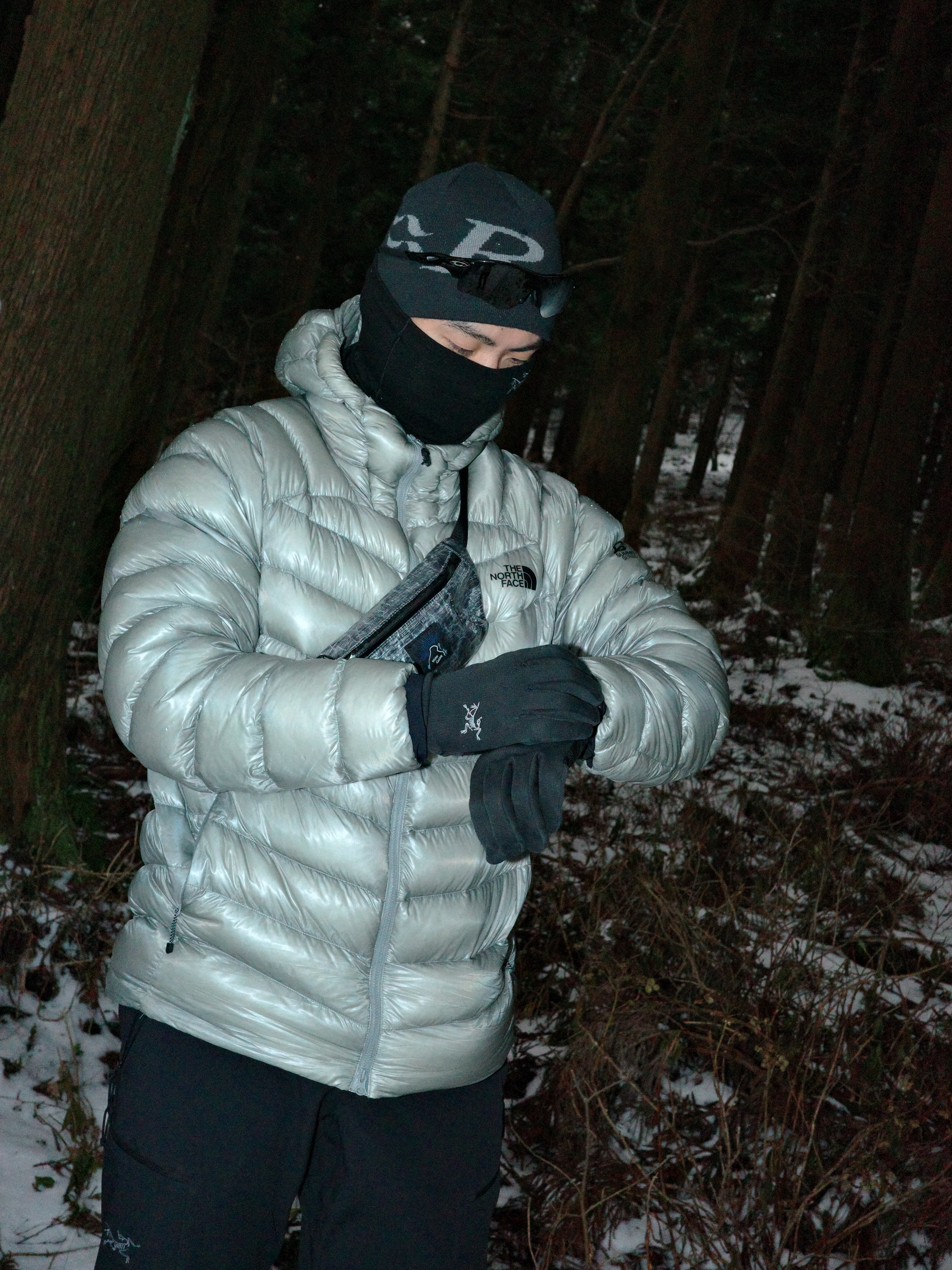 The North Face Summit Mattehorn RDS Down Jacket Light Gray, Arc'teryx Cronin Pants Black 착용 스타일 - 2