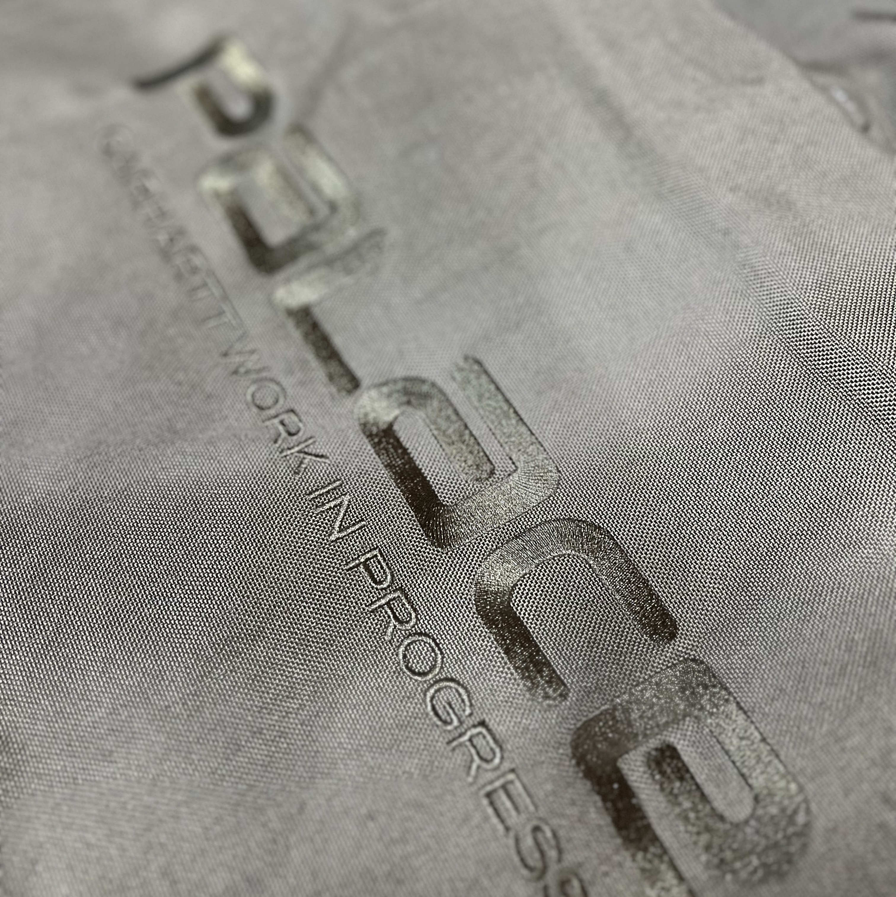Palace x Carhartt WIP Ranger Jacket Plant - 24FW 착용 스타일 - 3