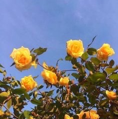 잘모르는사슴쿤님의 스타일 - 8