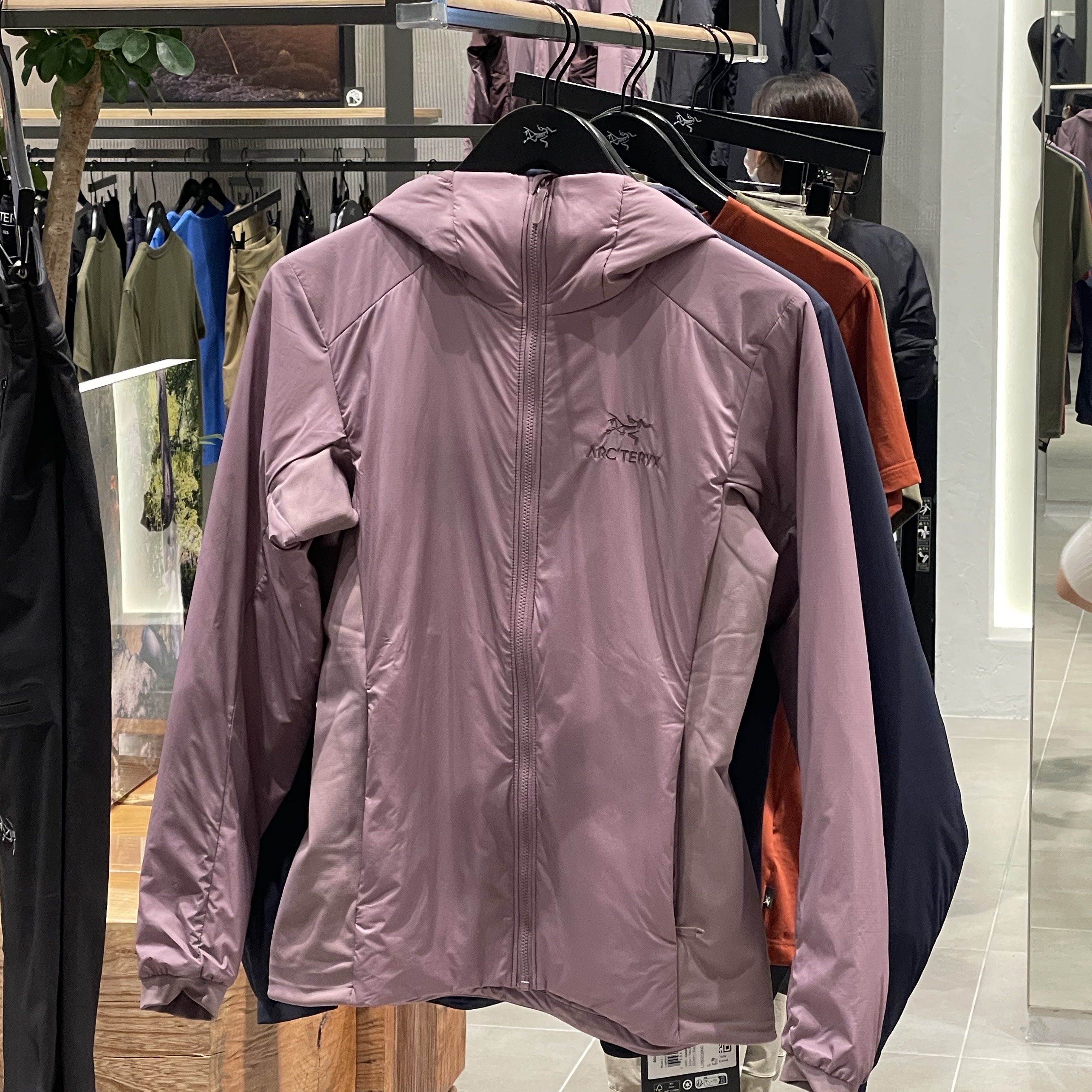 (W) Arc'teryx Squamish Hoody Velocity 착용 스타일