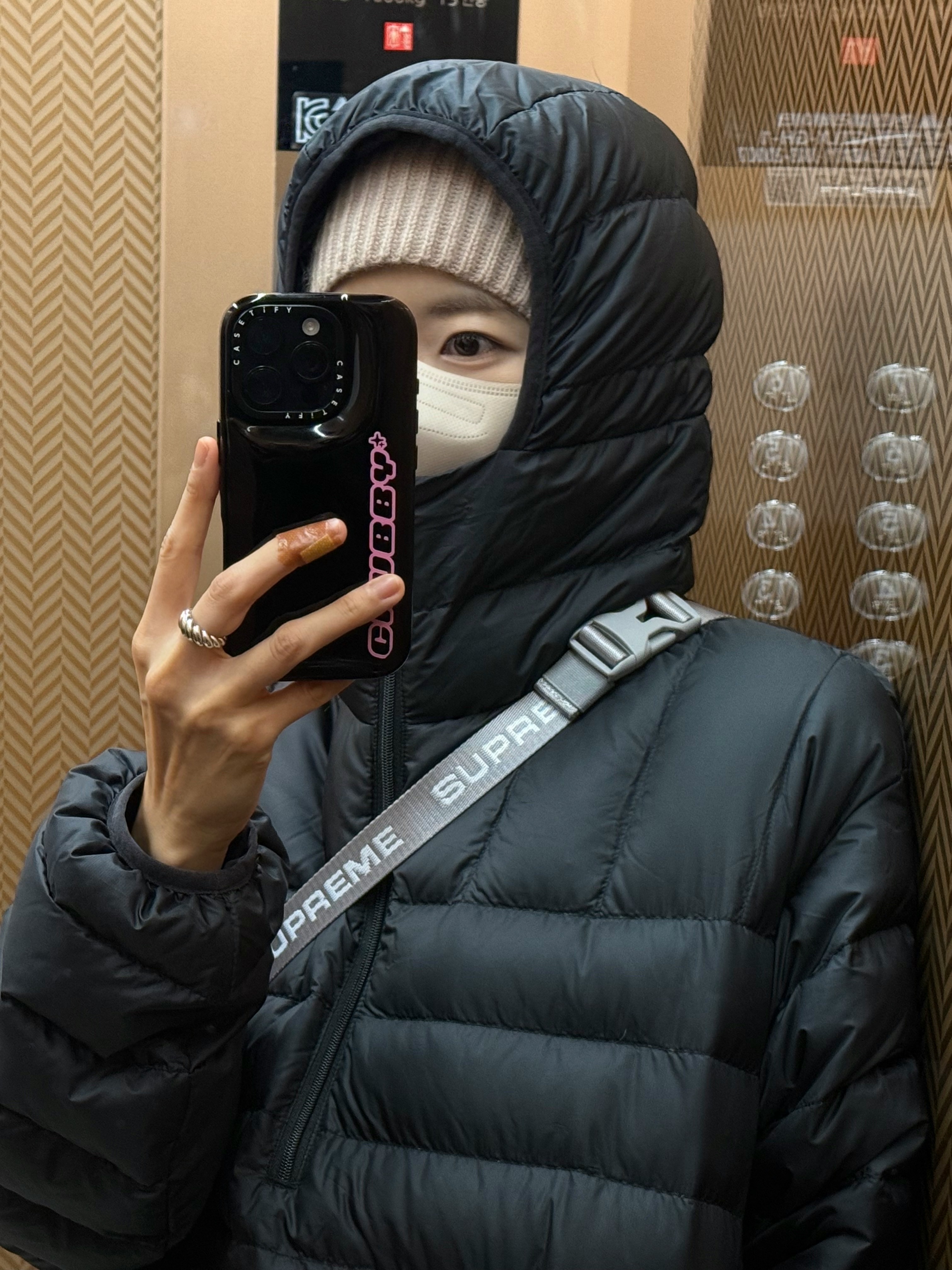 Supreme Small Waist Bag Silver - 22FW, Supreme Micro Down Half Zip Hooded Pullover Black - 24FW 착용 스타일 - 1