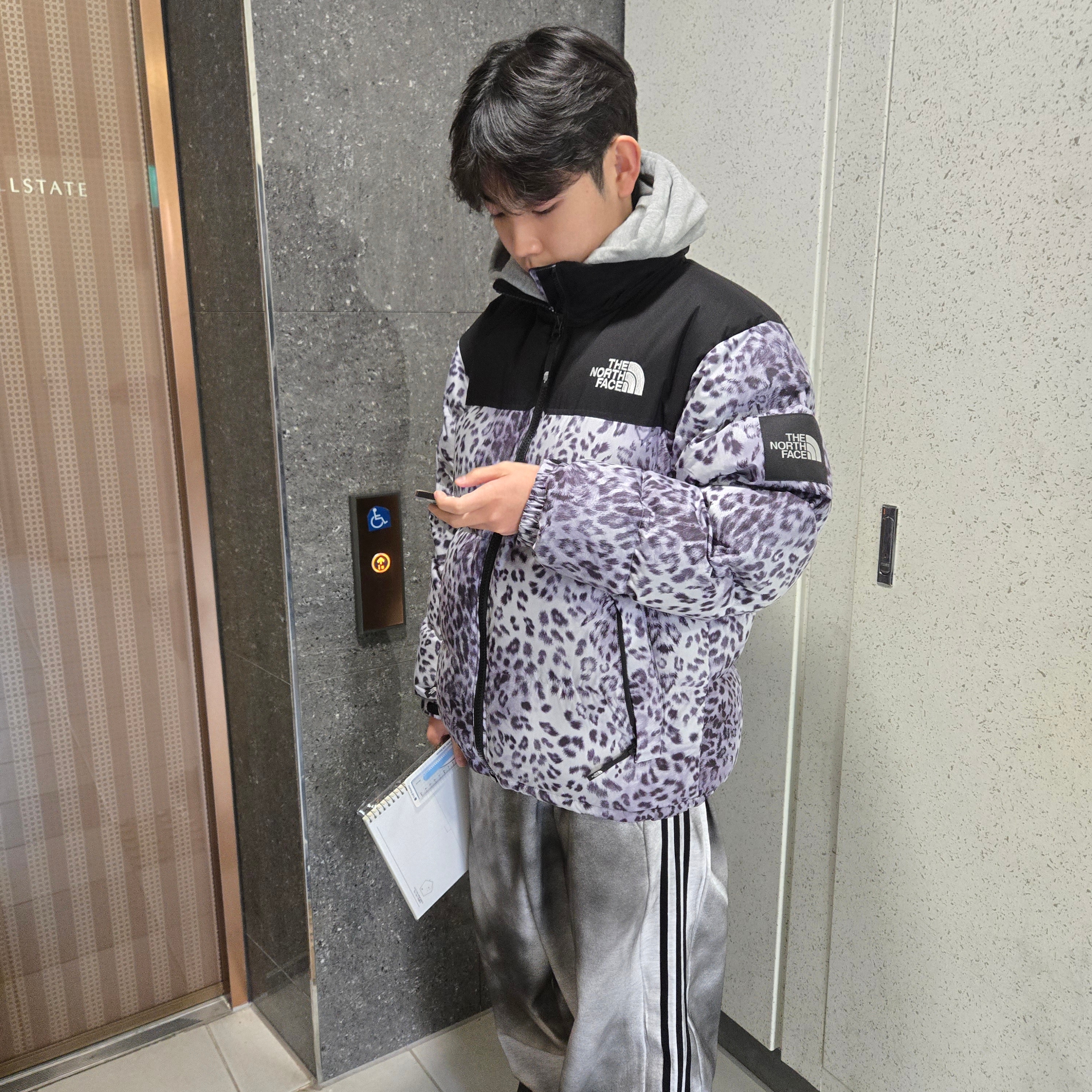 The North Face White Label Novelty Nuptse Down Jacket P Silver 착용 스타일