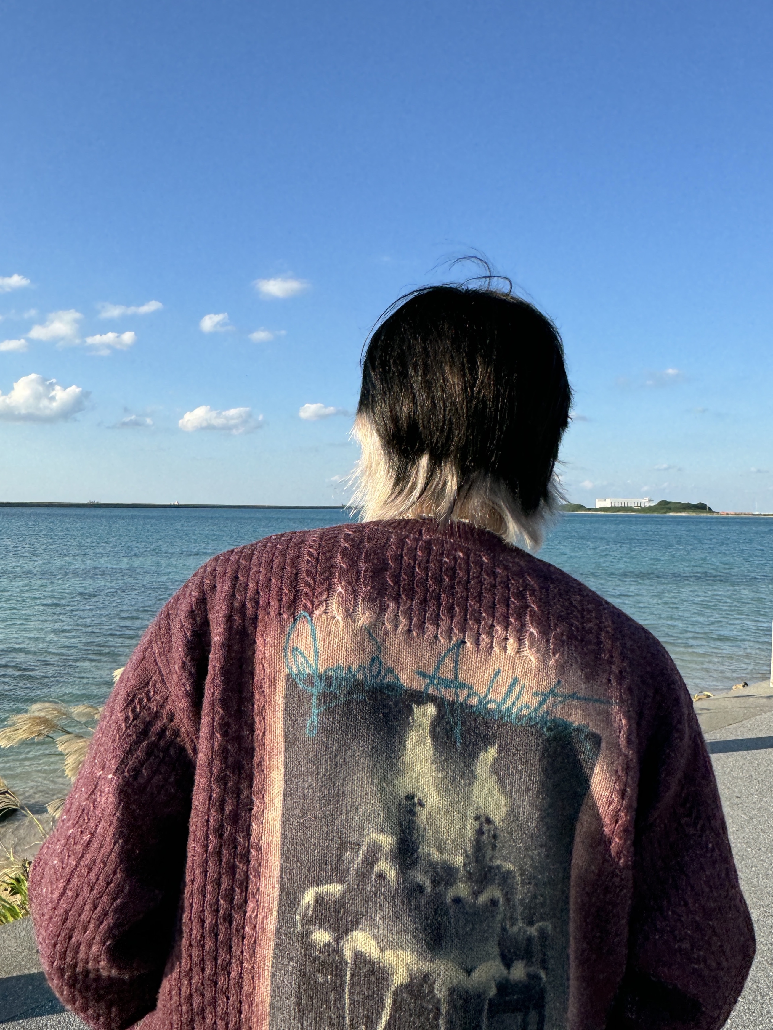 Supreme x Jane's Addiction Cardigan Burgundy - 24FW 착용 스타일 - 3