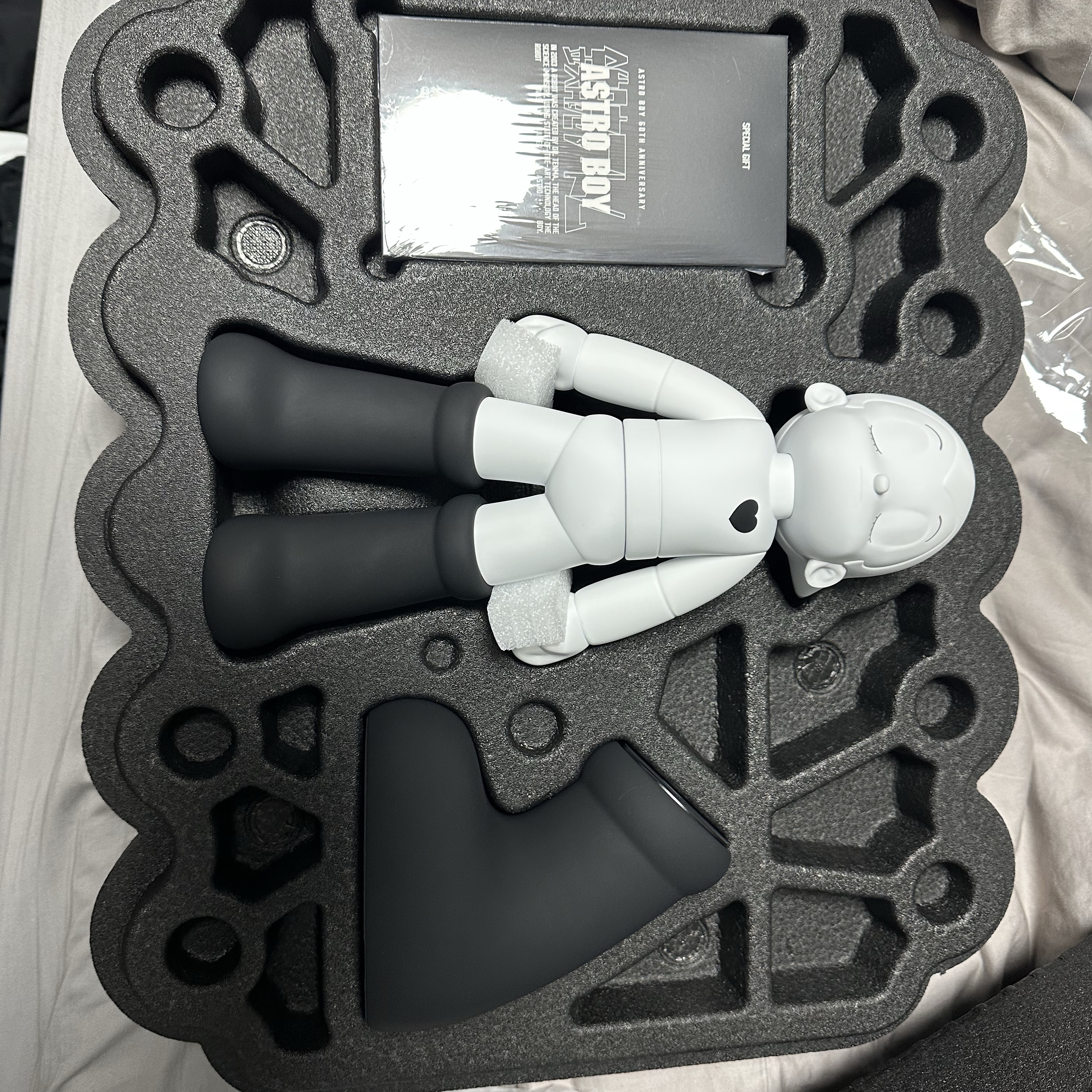Astroboy Edition Astroboy Special Package Black 착용 스타일