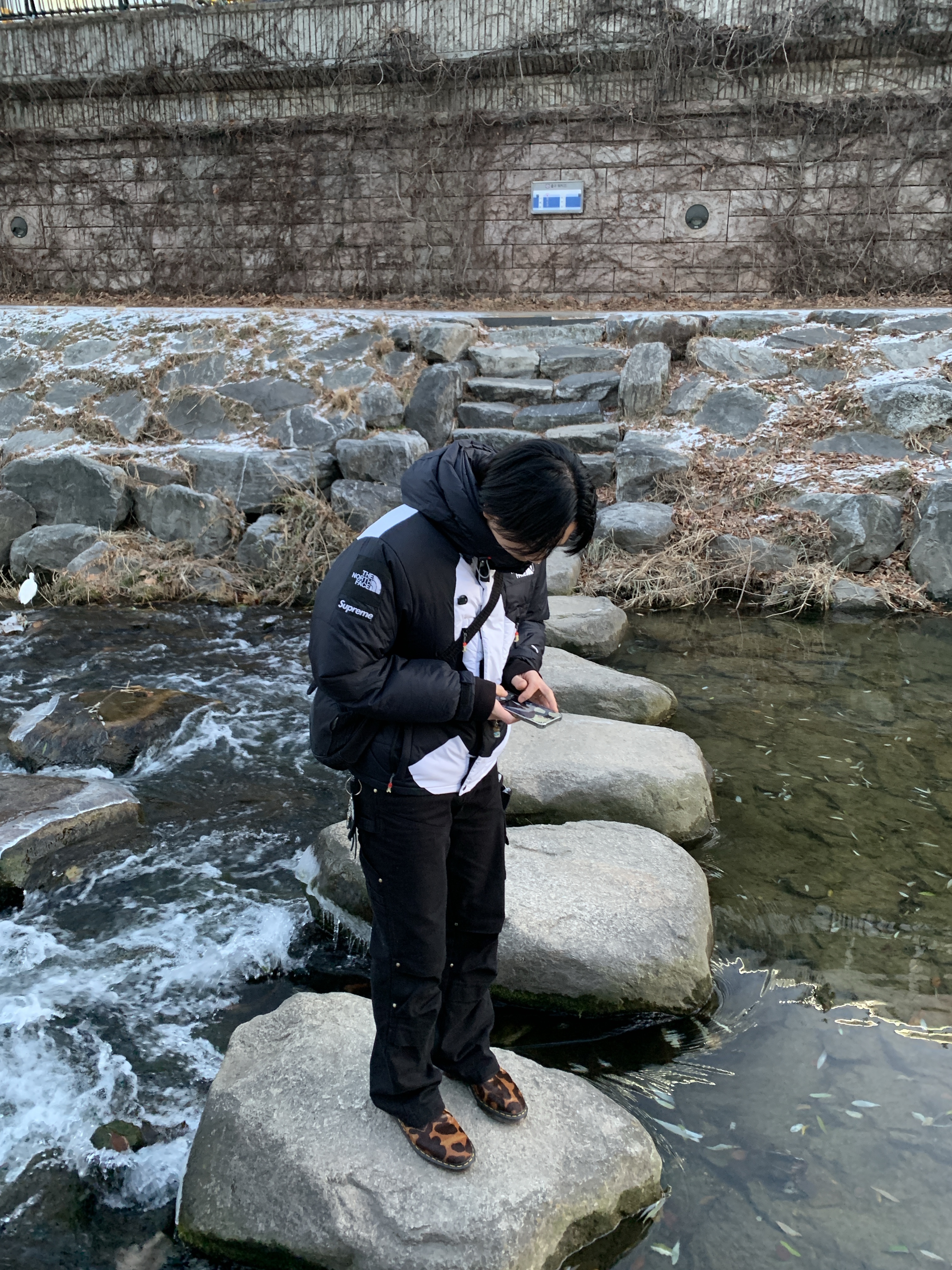 Supreme x The North Face S Logo Summit Series Himalayan Parka Black - 20FW, Vacant Archive Unisex Nova Carpenter Pants Black 착용 스타일 - 3