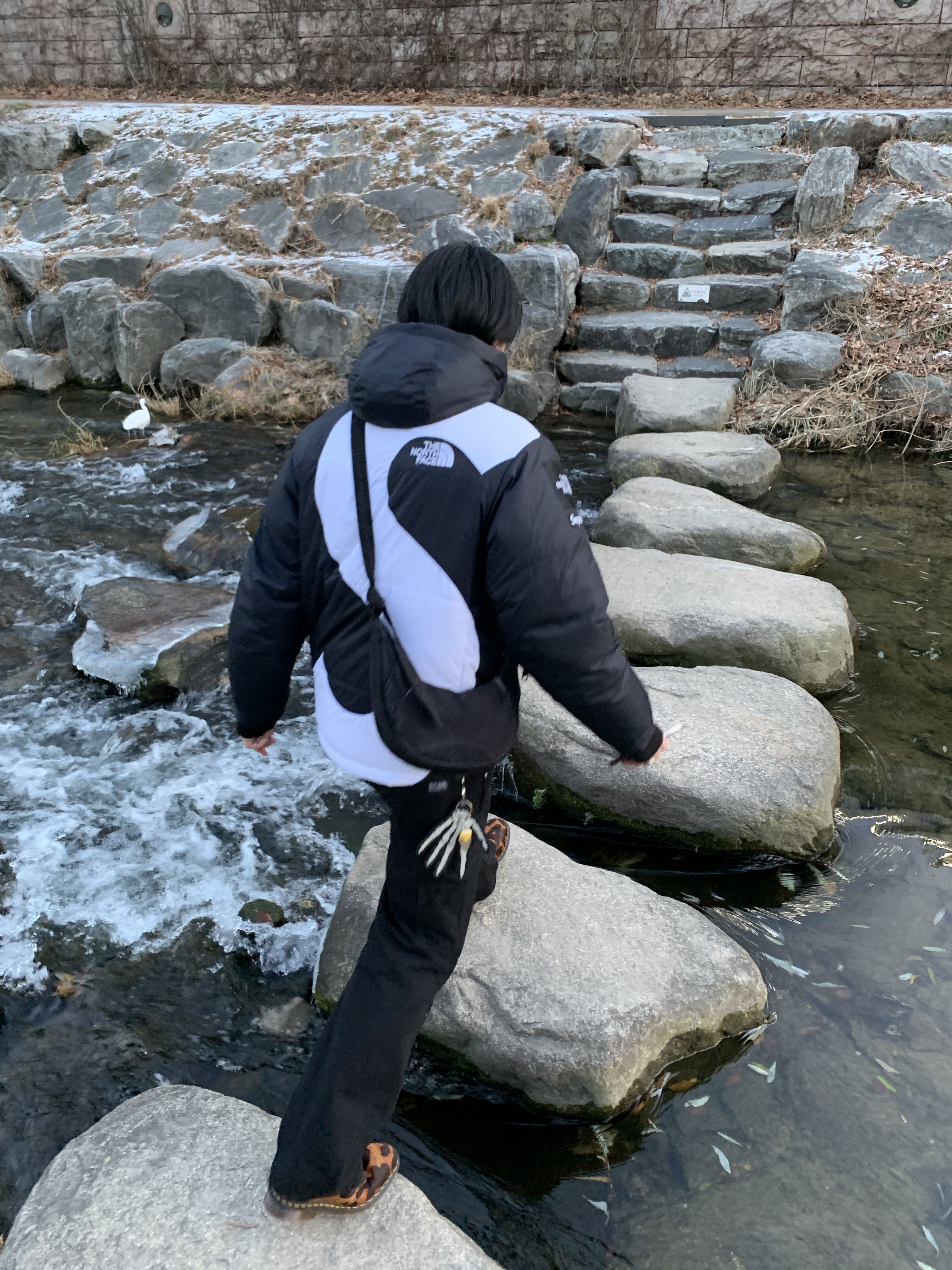 Supreme x The North Face S Logo Summit Series Himalayan Parka Black - 20FW, Vacant Archive Unisex Nova Carpenter Pants Black 착용 스타일 - 2
