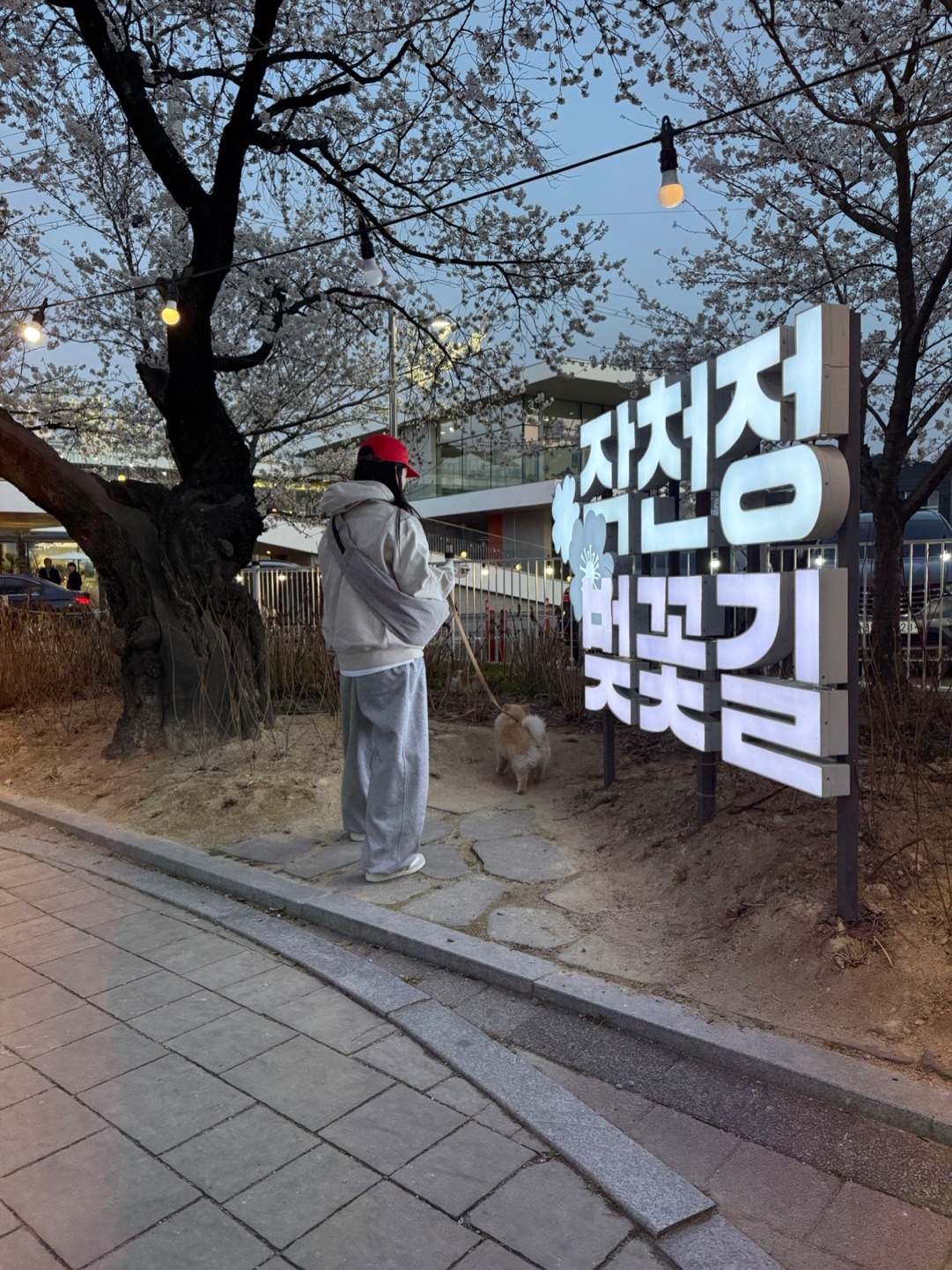Supreme Box Logo Hooded Sweatshirt Stone - 24FW, Adidas x Kasina Samba Consortium Cup Off White Trace Khaki 착용 스타일 - 3