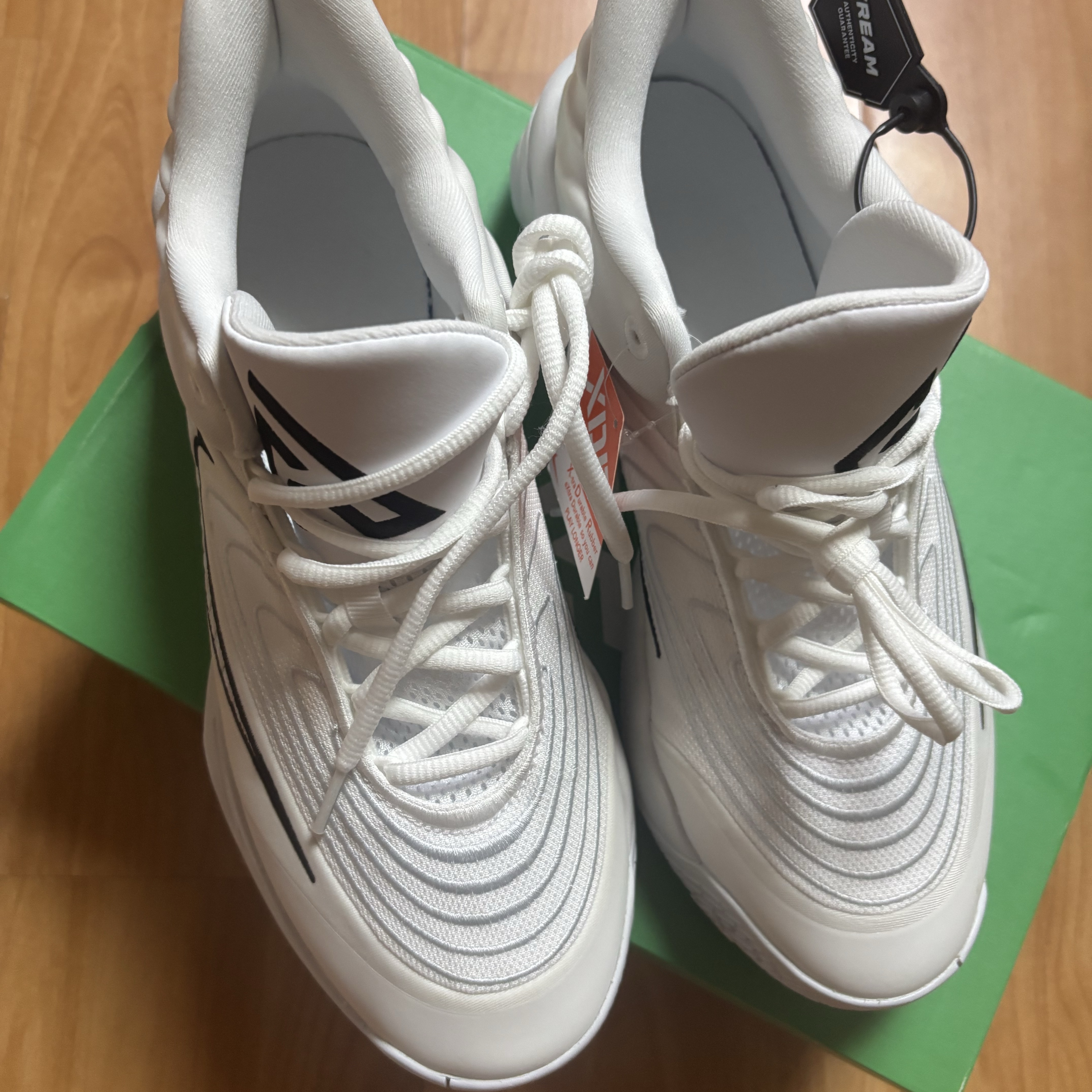 Nike Giannis Immortality 4 EP White 착용 스타일 - 2