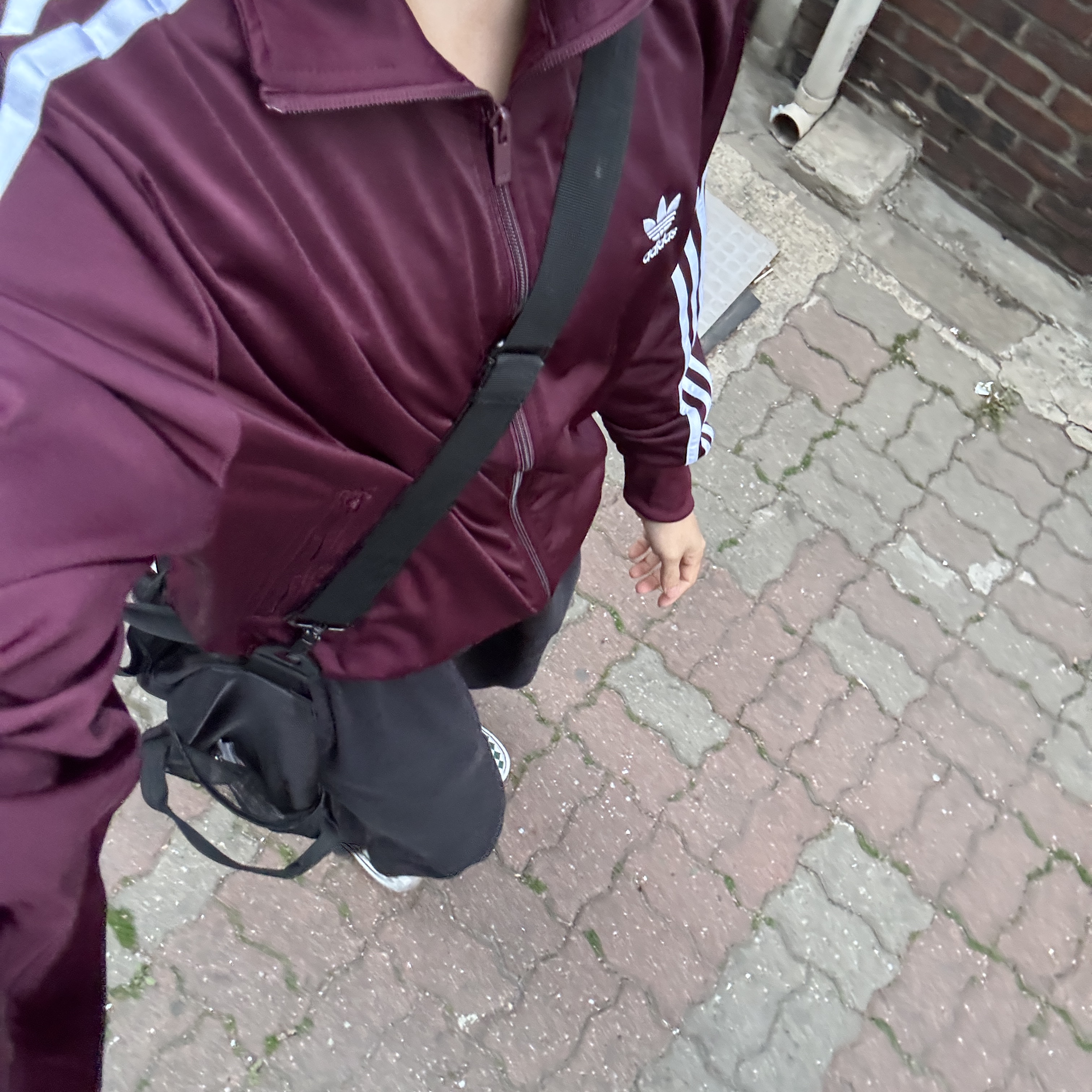 Adidas Adicolor Classic Firebird Track Top Maroon - KR Sizing 착용 스타일