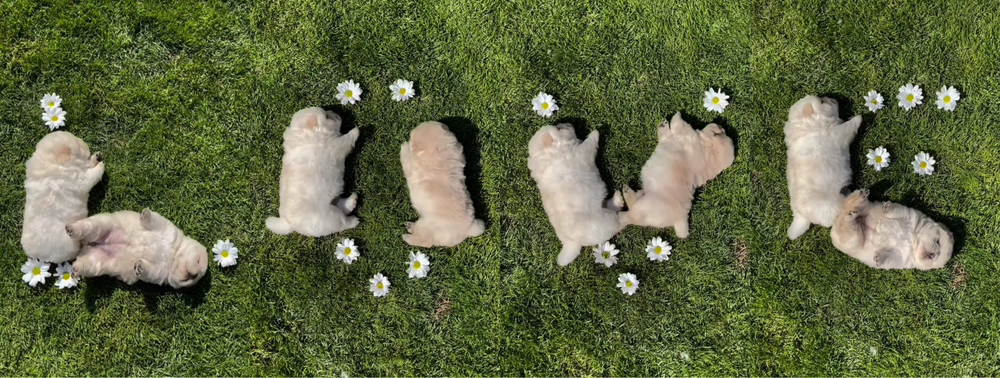 관심 유저 프로필 이미지