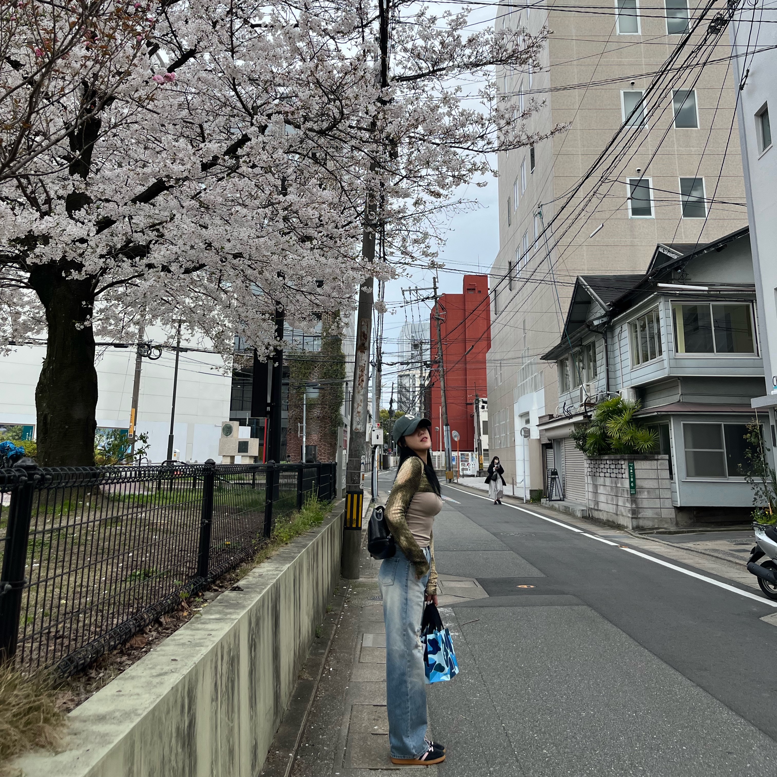 카디널 레드 하우아백 블랙, 세터 빈티지 캐쥬얼 레터링 볼캡 빈티지 그레이 착용 스타일 - 1