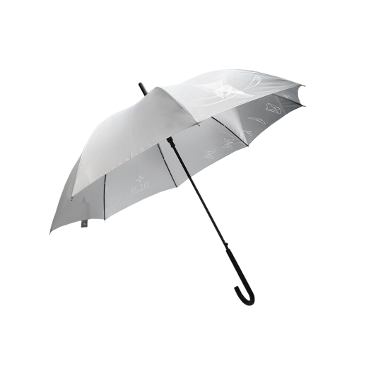 BLR2D05AC01 BLR Fog Washing Umbrella Grey