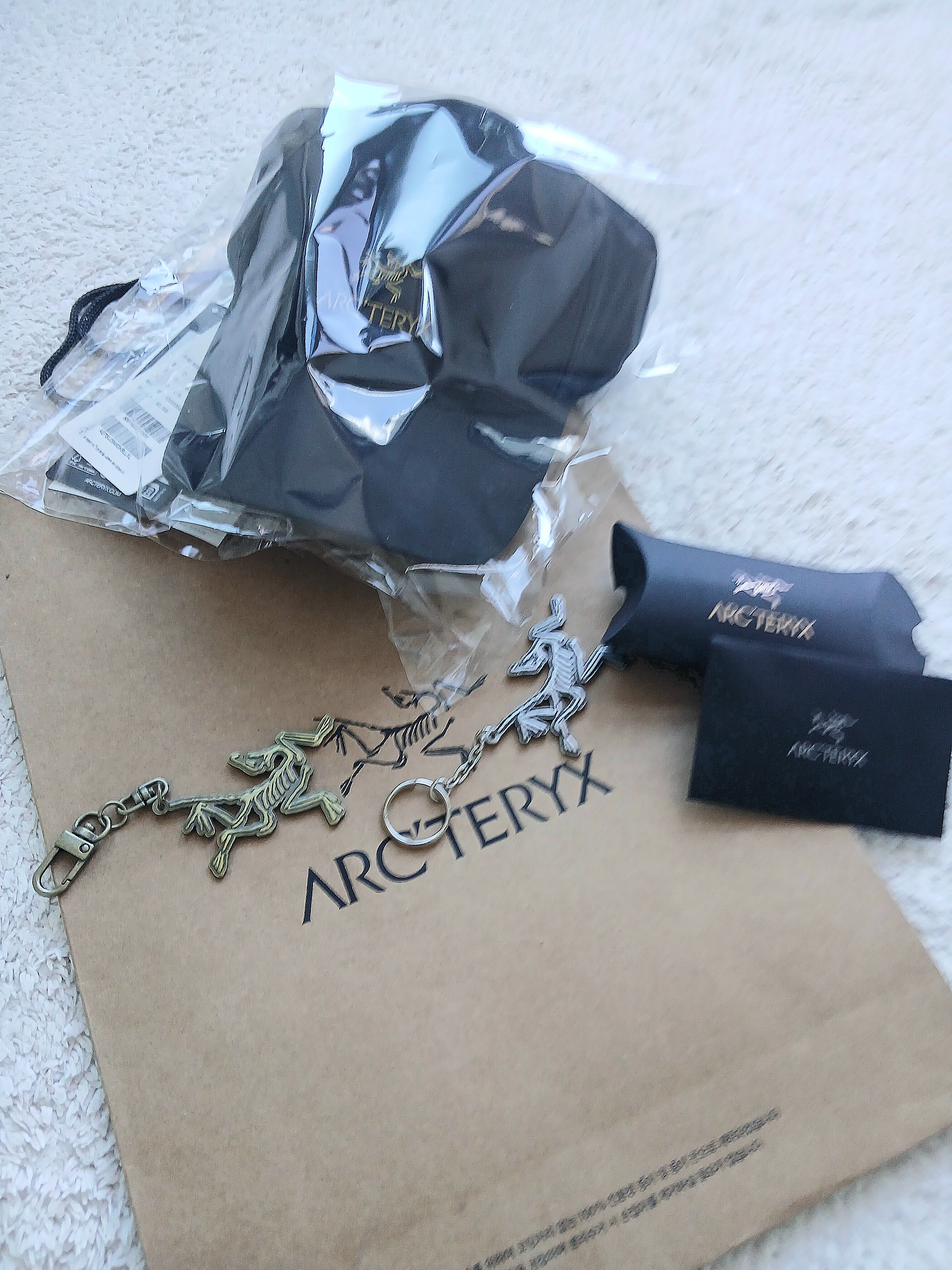 Arc'teryx Bird Word Cap 24K Black, Arc'teryx Keyring Metal 착용 스타일 - 2