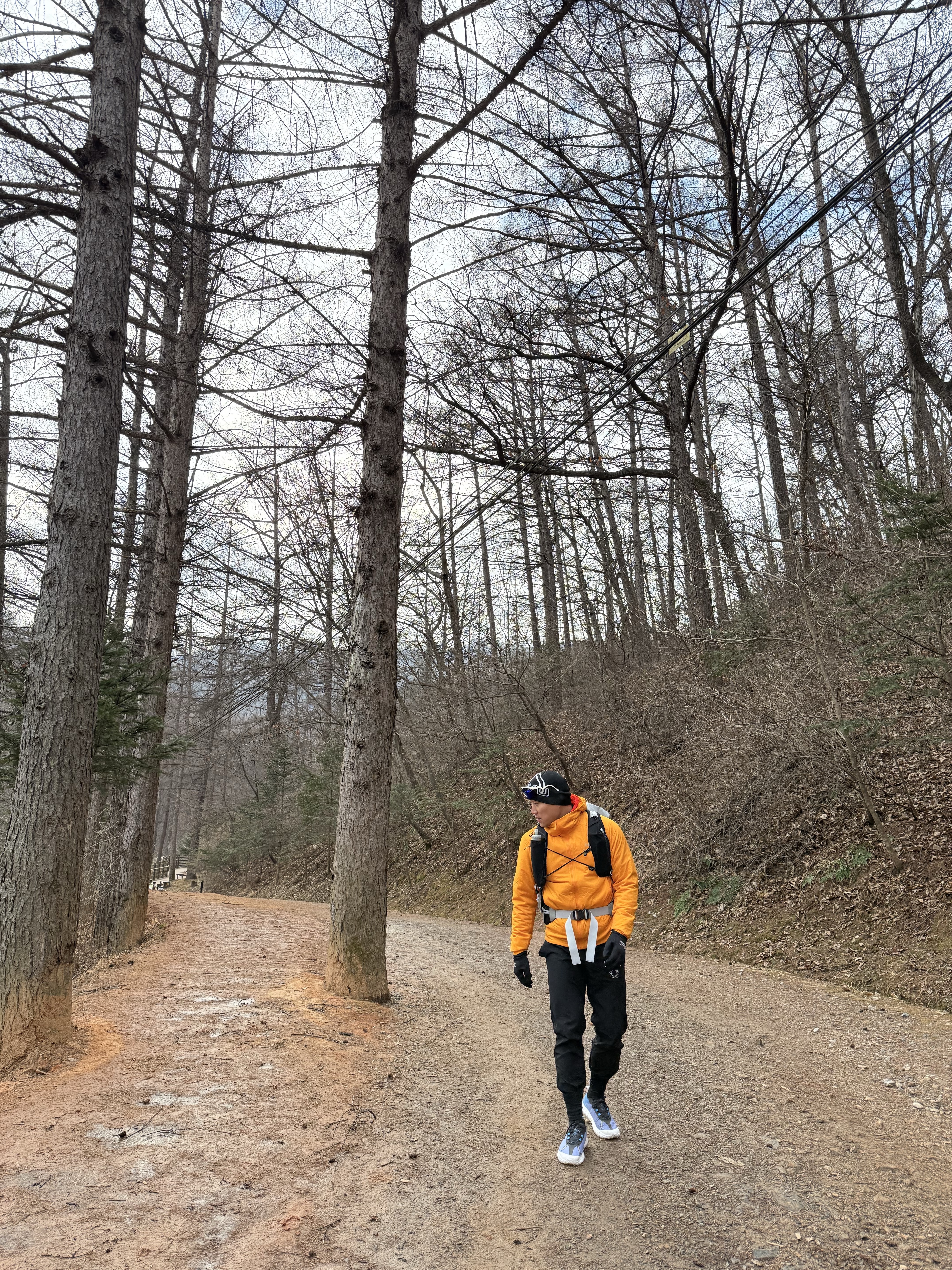 UVU Training Pants Black, Arc'teryx Atom LT Hoody Ignite 착용 스타일 - 2