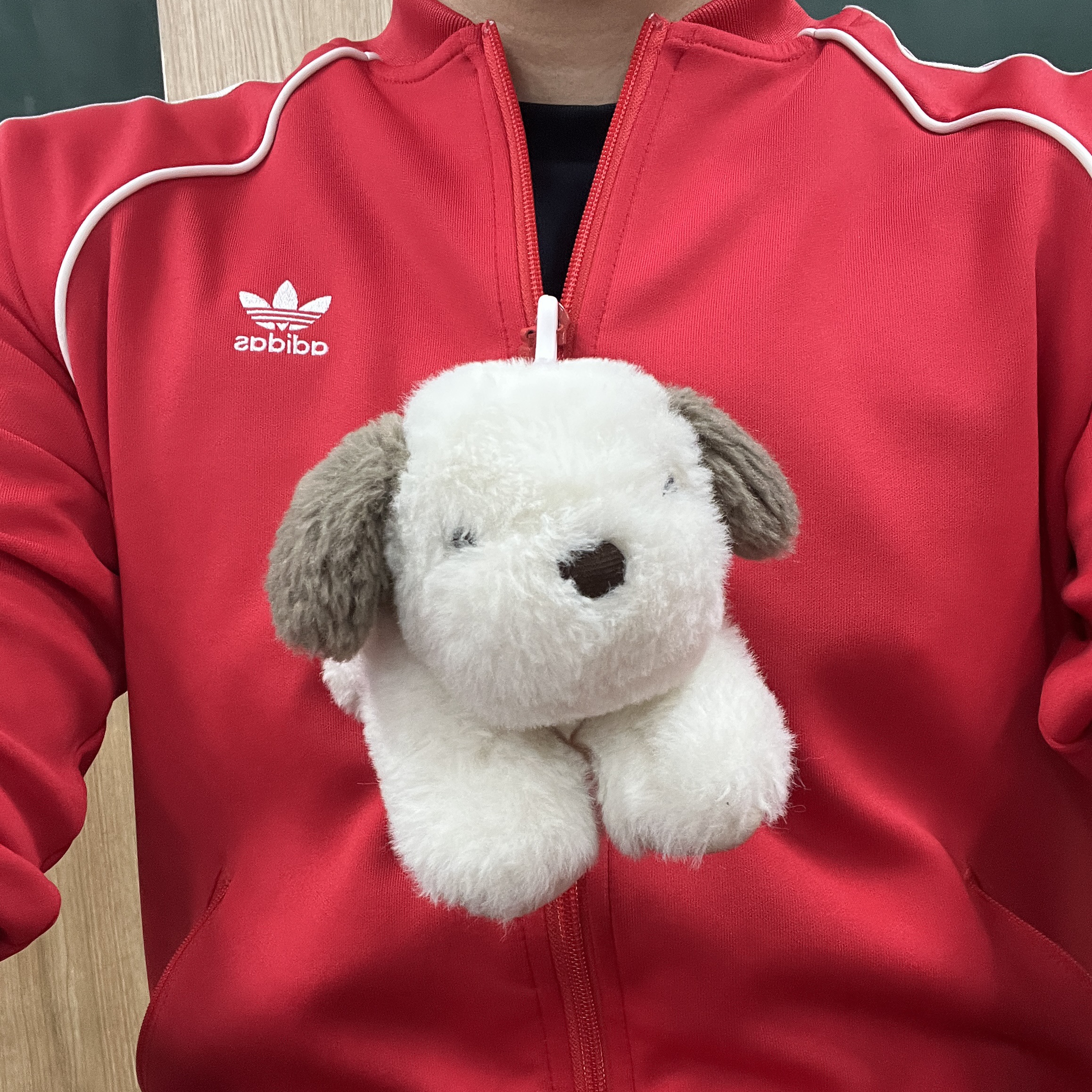 (W) Adidas Originals Adicolor Classics SST Track Jacket Better Scarlet - US Sizing 착용 스타일