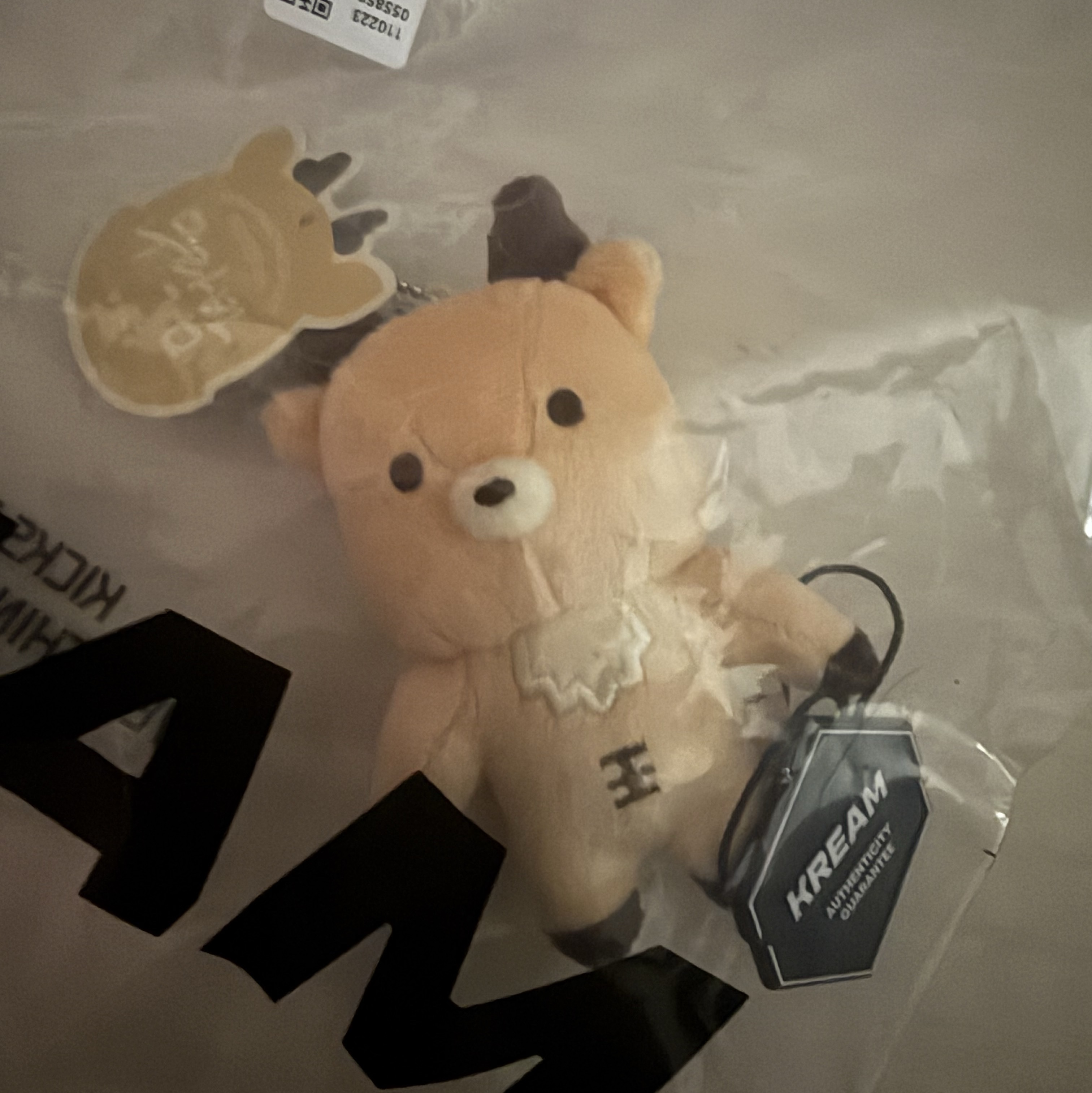 Riize Valentines Dayze 10cm Doll Keyring Sungchan 착용 스타일