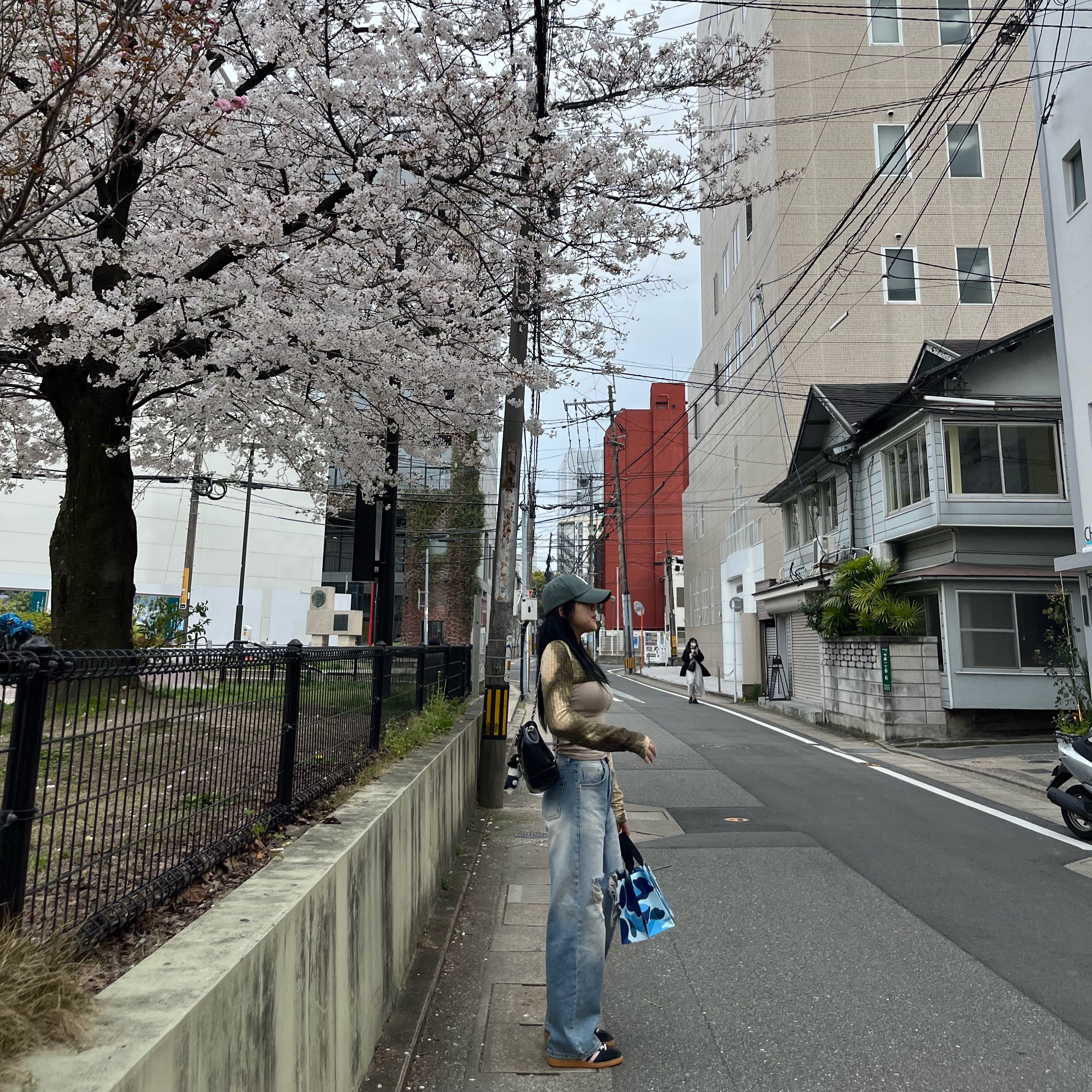 카디널 레드 하우아백 블랙, 세터 빈티지 캐쥬얼 레터링 볼캡 빈티지 그레이 착용 스타일 - 2